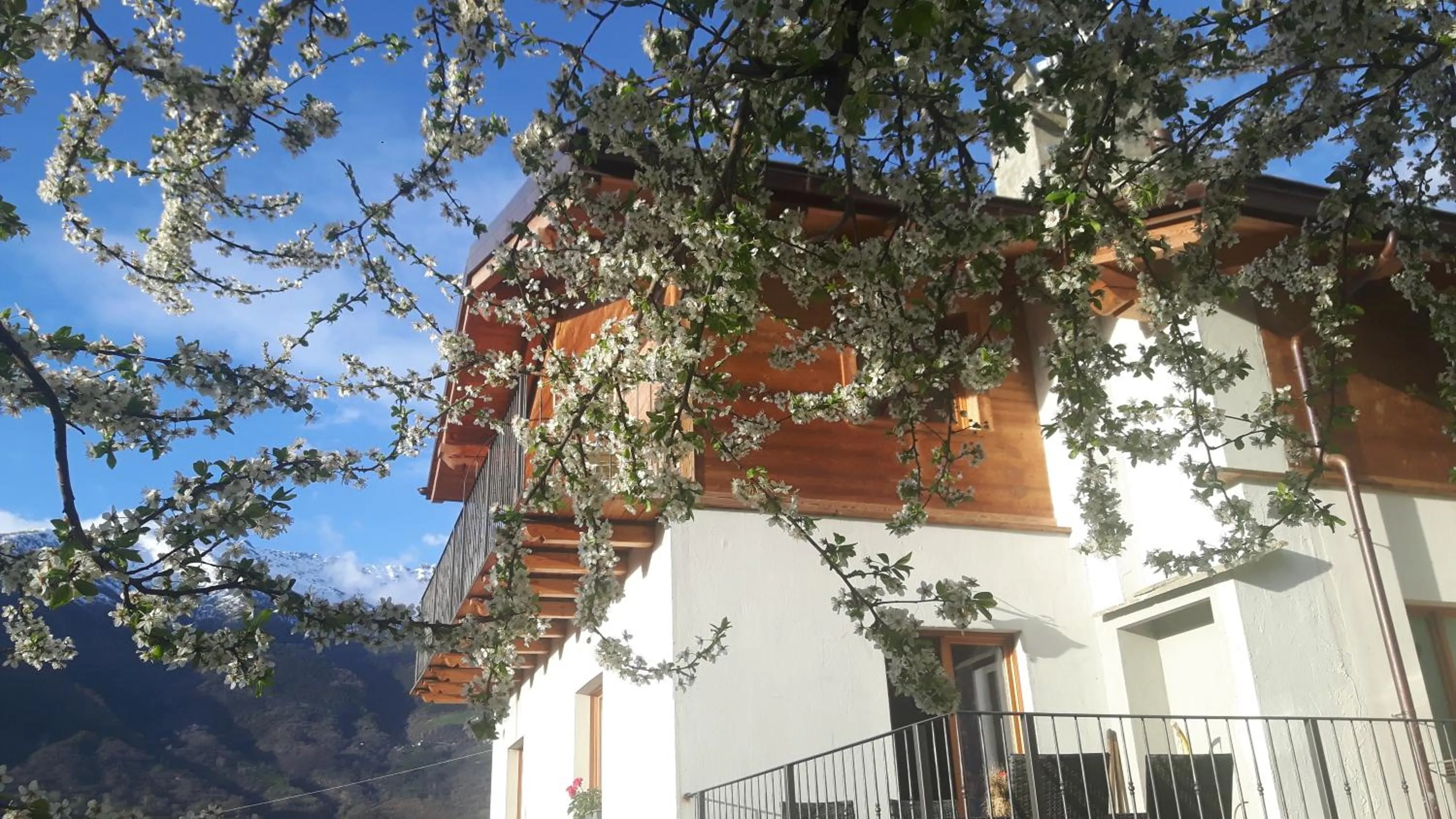 Mountain view in La locanda del Mulino