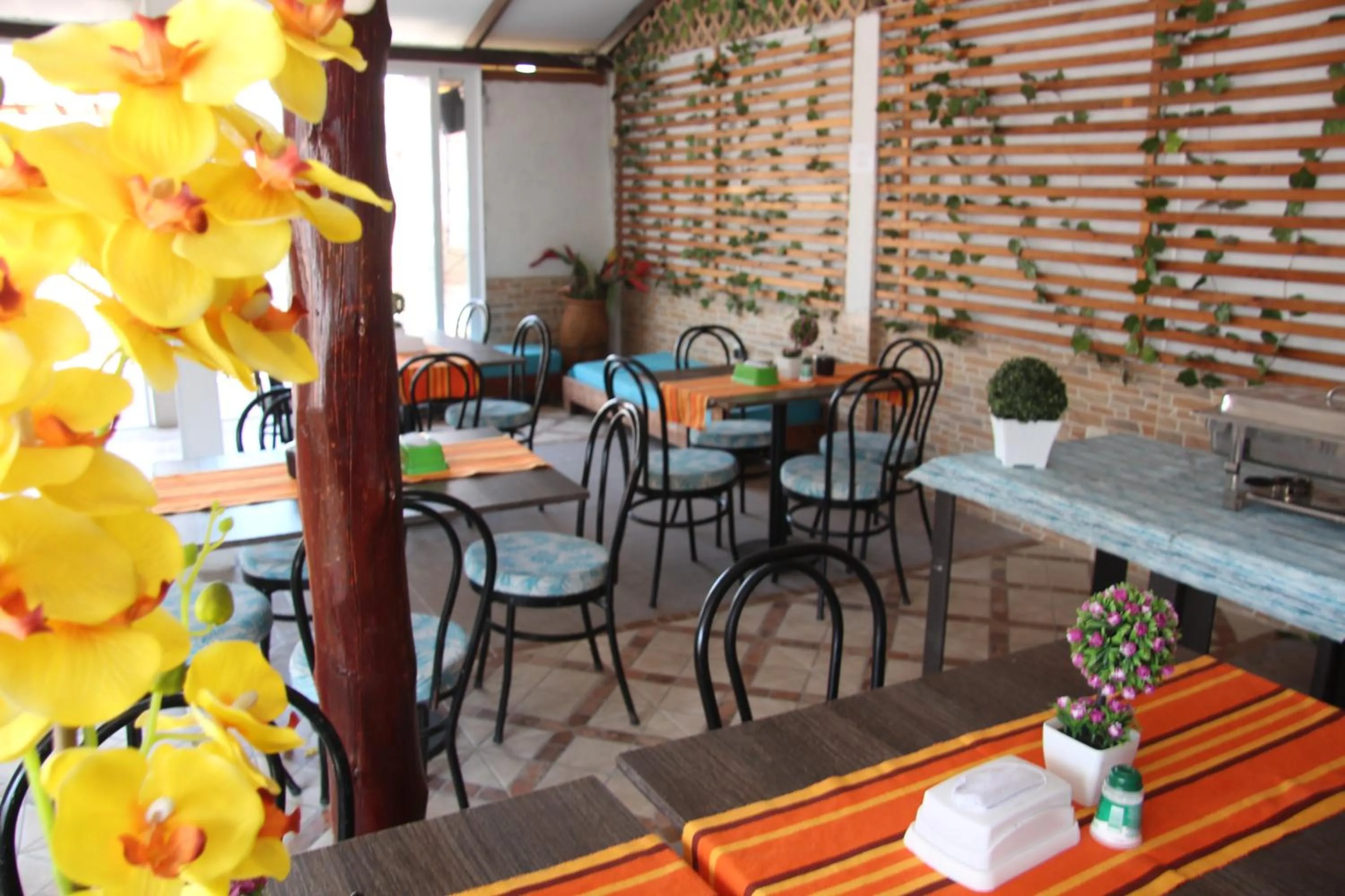 Restaurant/places to eat in Hotel Rodadero Dorado