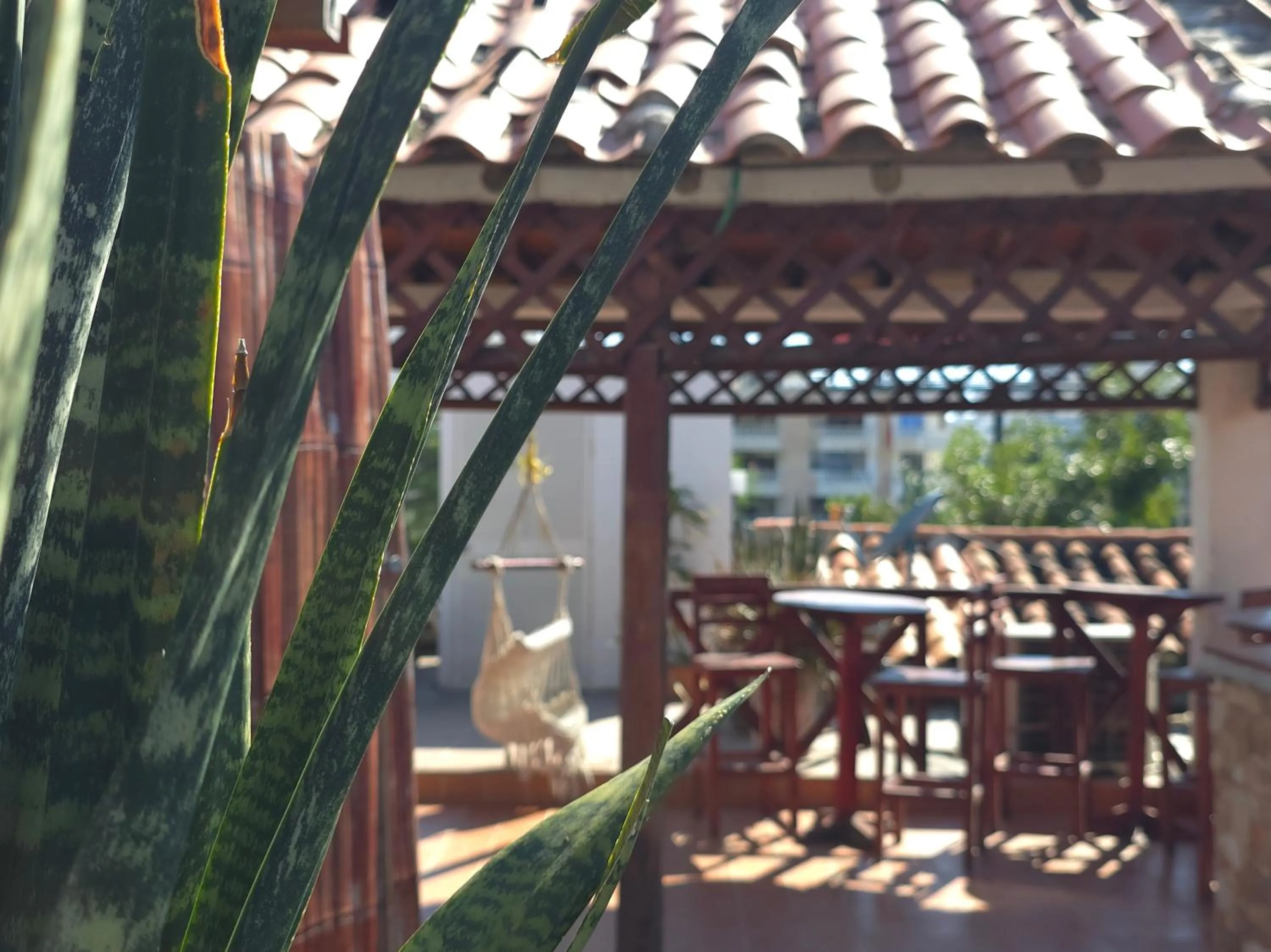 Balcony/Terrace in Hotel Rodadero Dorado