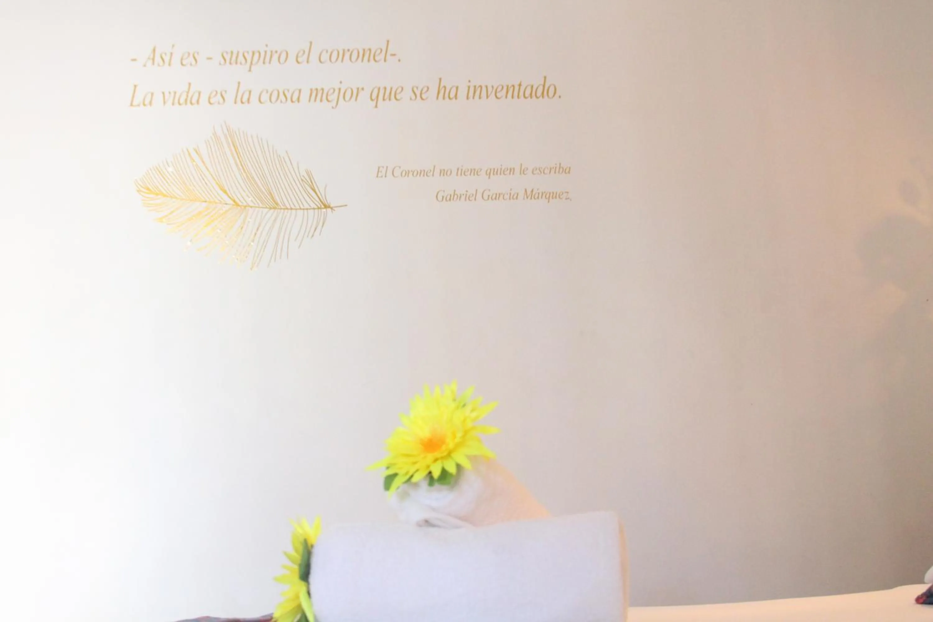 Text overlay in Hotel Rodadero Dorado