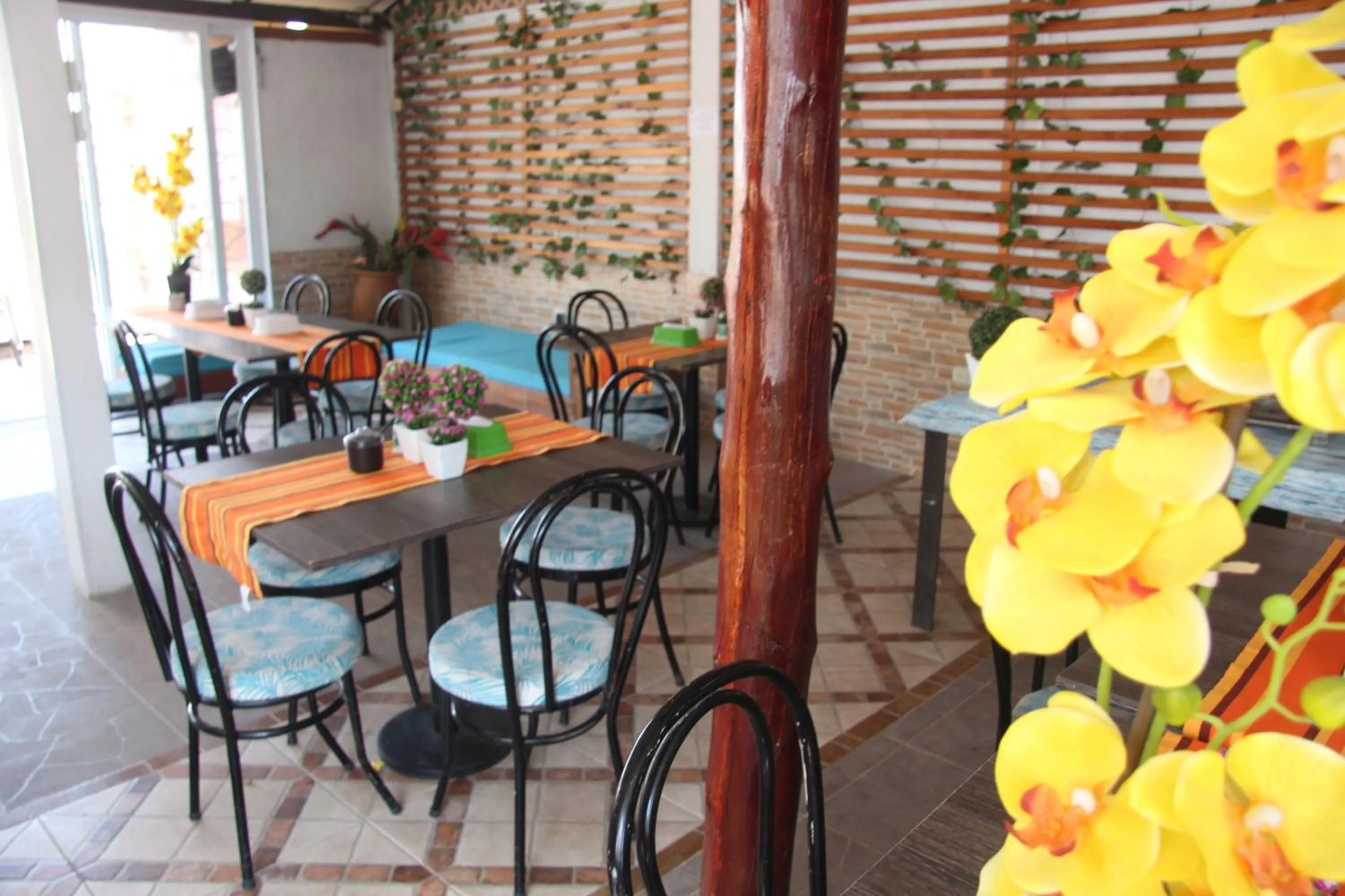 Restaurant/places to eat in Hotel Rodadero Dorado