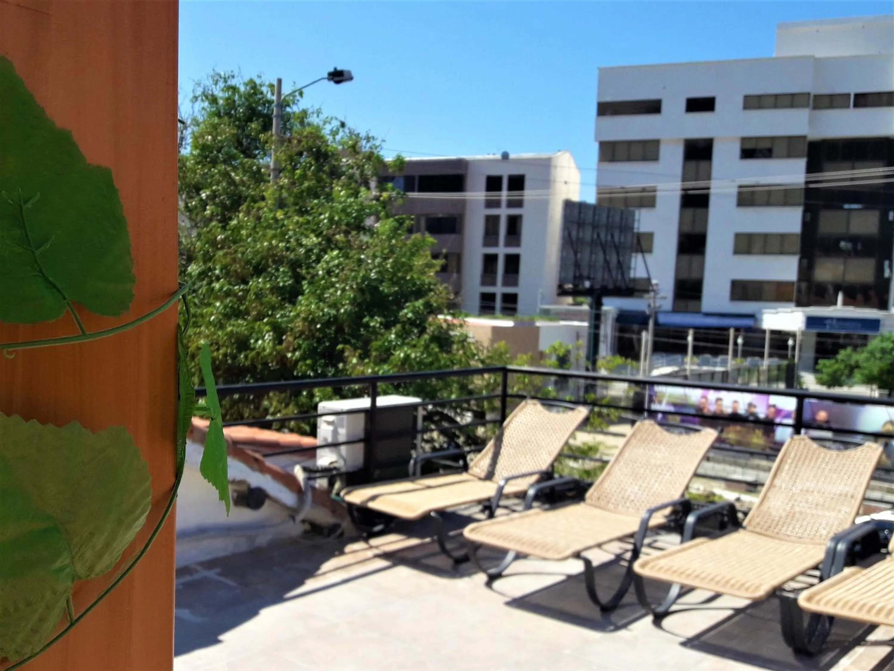 Day in Hotel Rodadero Dorado
