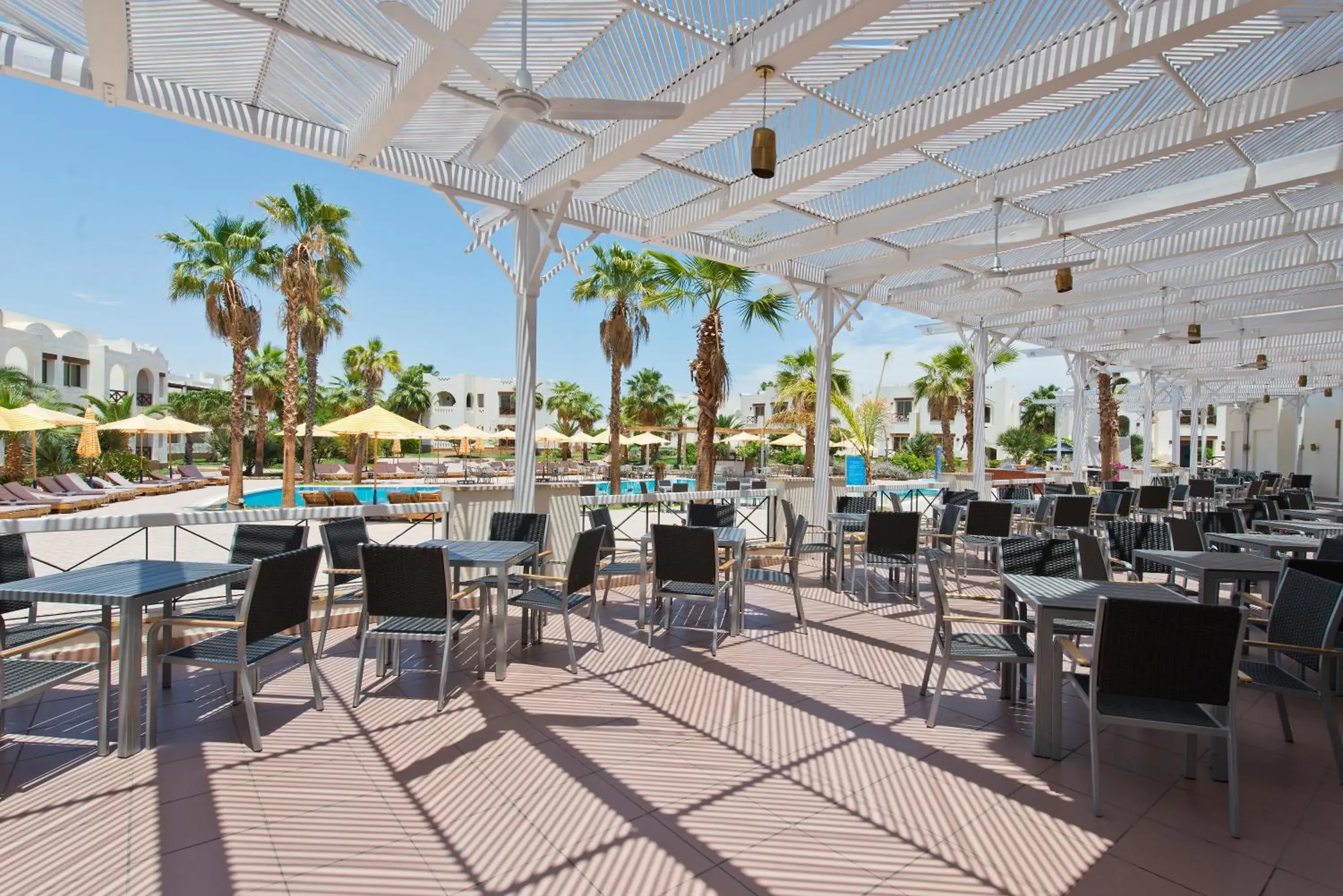 Restaurant/places to eat in Amphoras Aqua Restaurant/places to eat in Amphoras Aqua