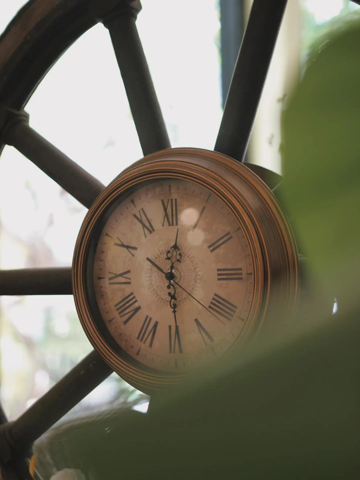 Restaurant/places to eat in The Pergola Design Hotel