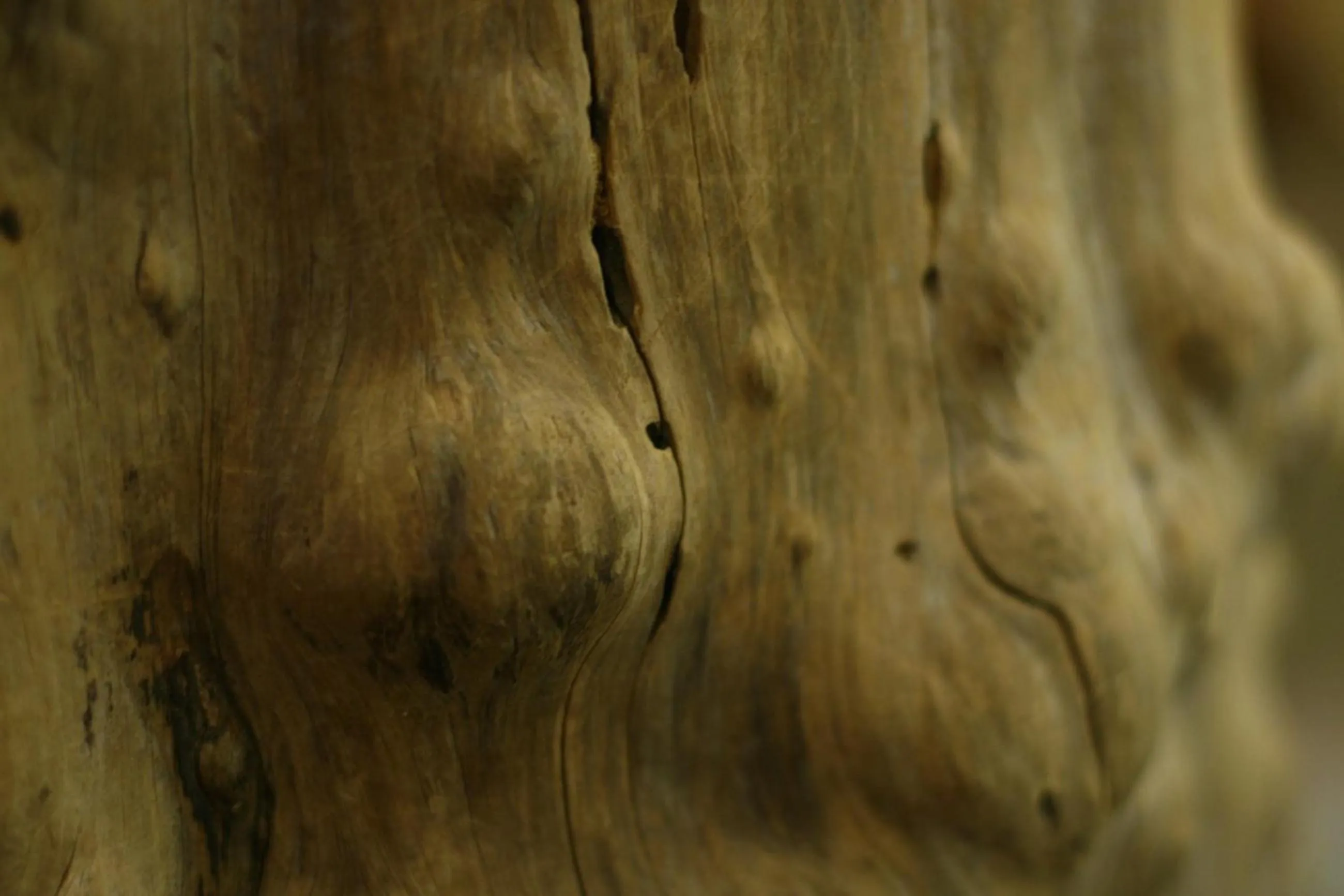 Decorative detail in Hotel Hetan Majatalo