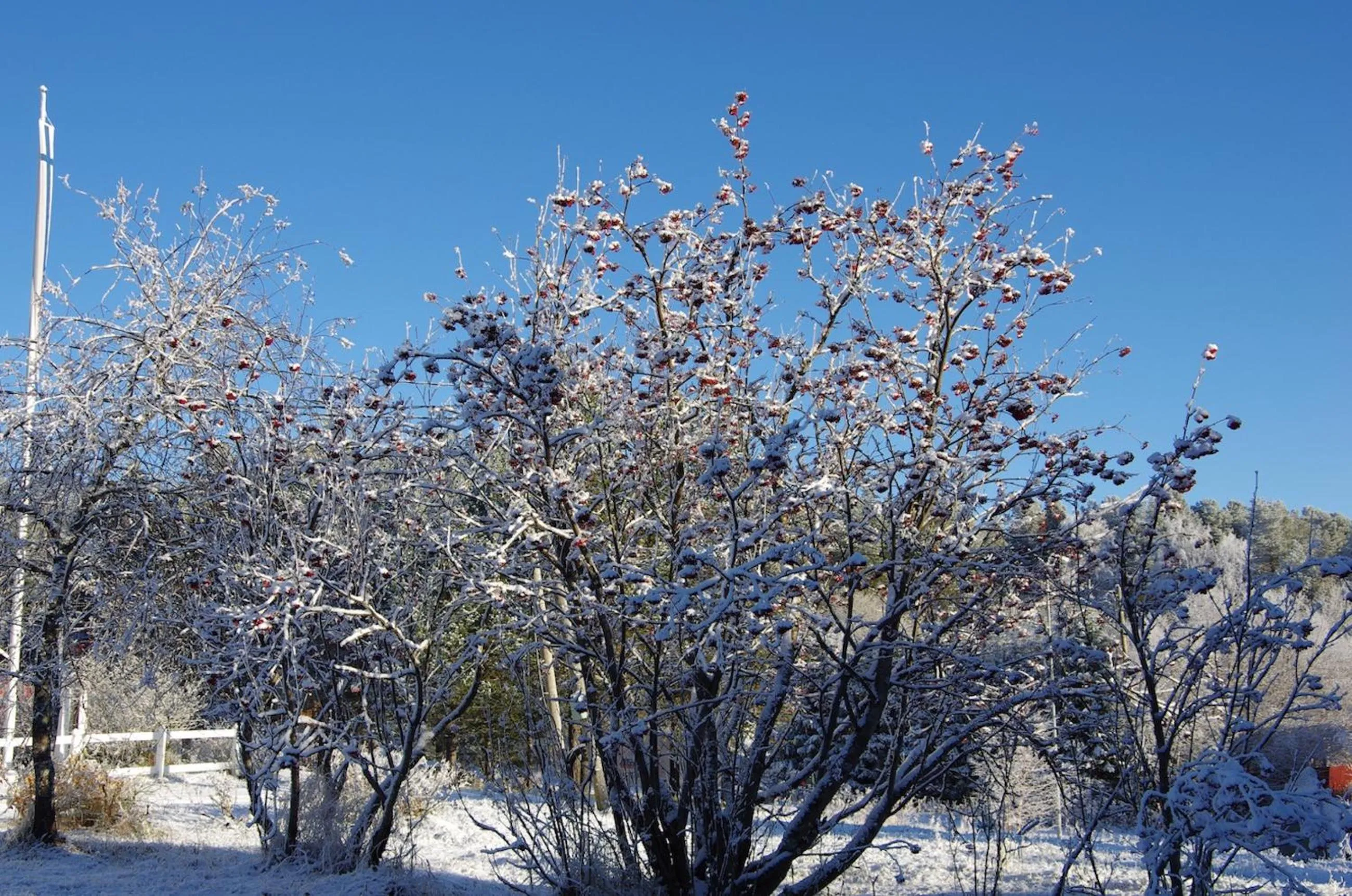 Decorative detail in Hotel Hetan Majatalo