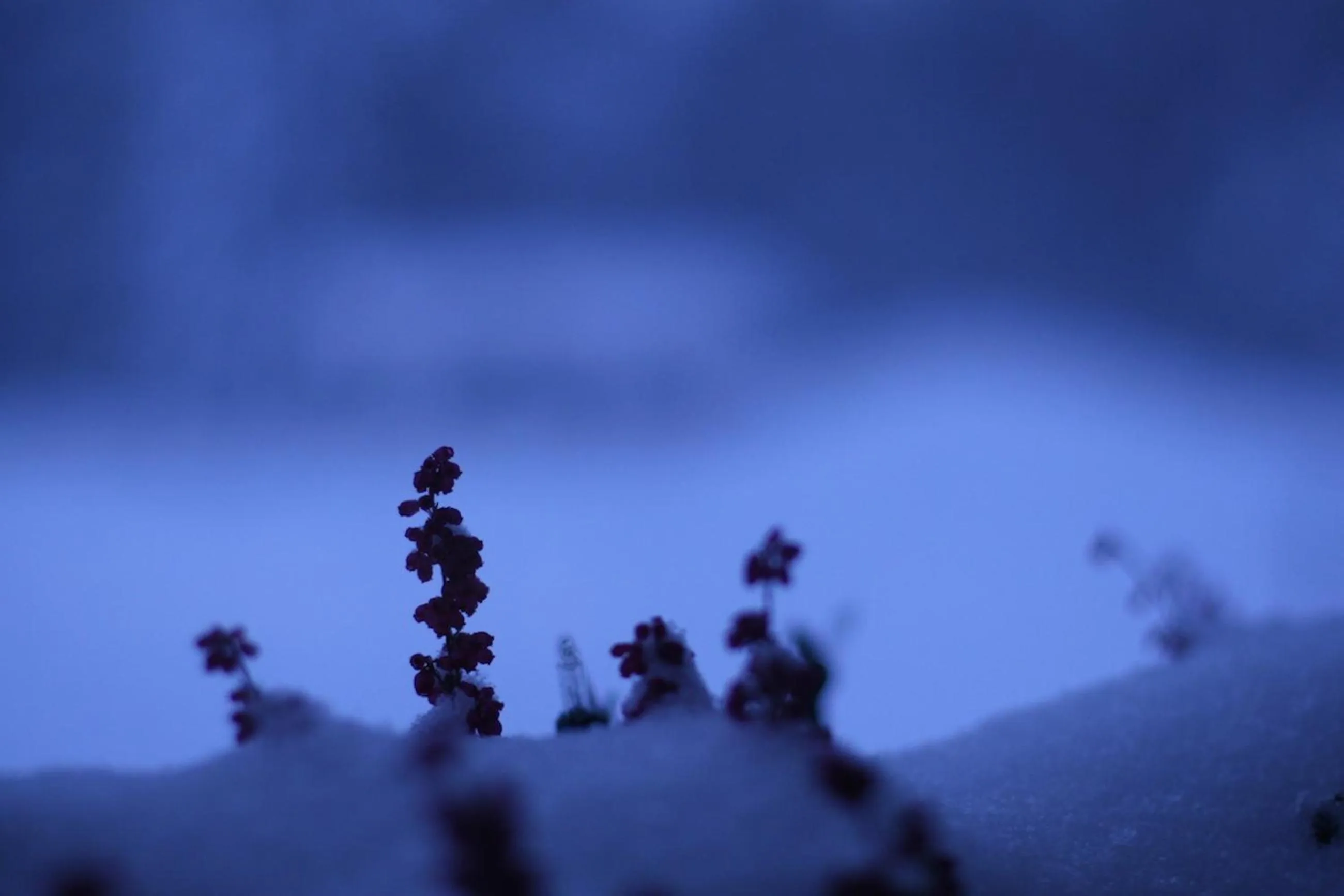 Decorative detail in Hotel Hetan Majatalo