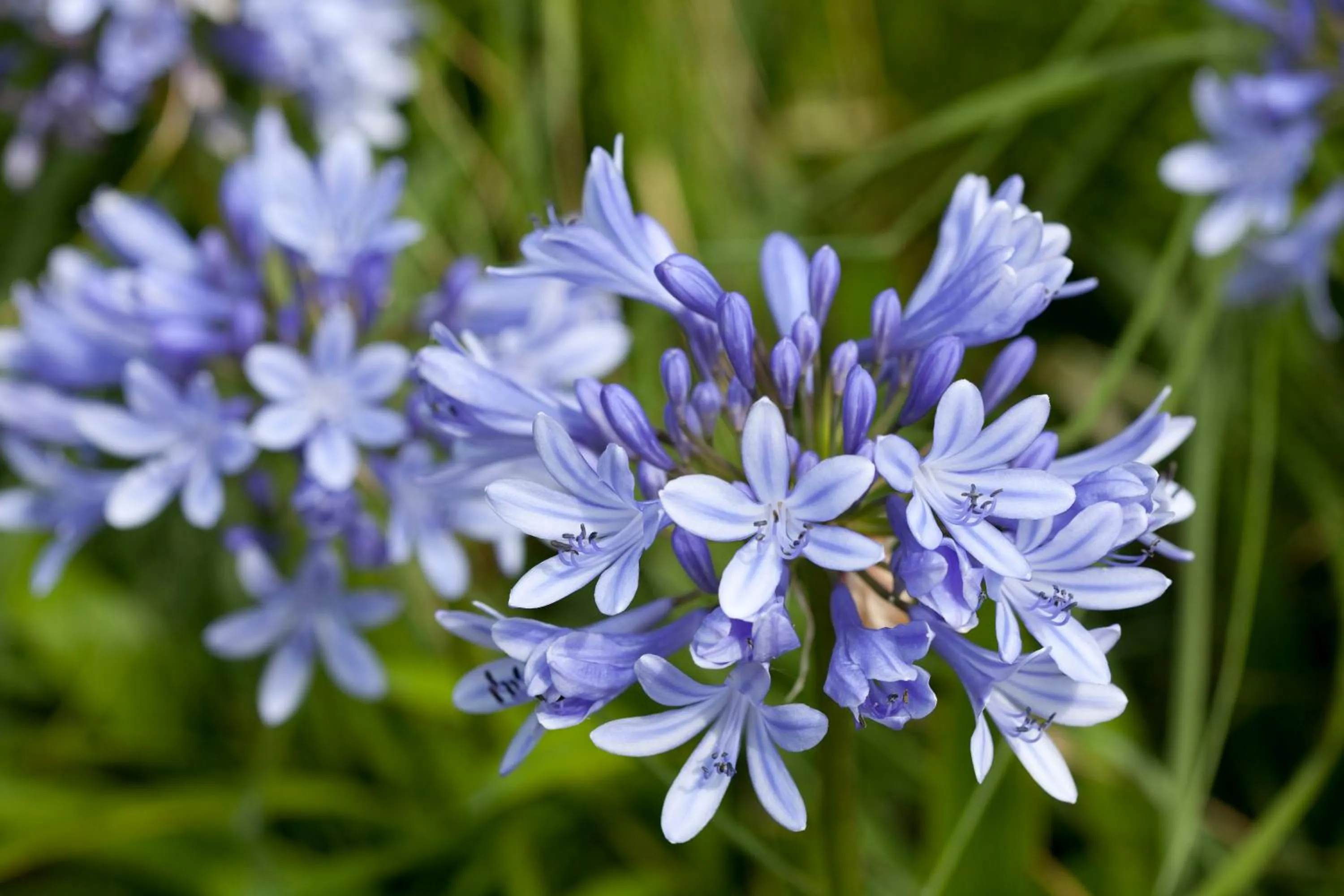 Facade/entrance in Le Village Cancalais