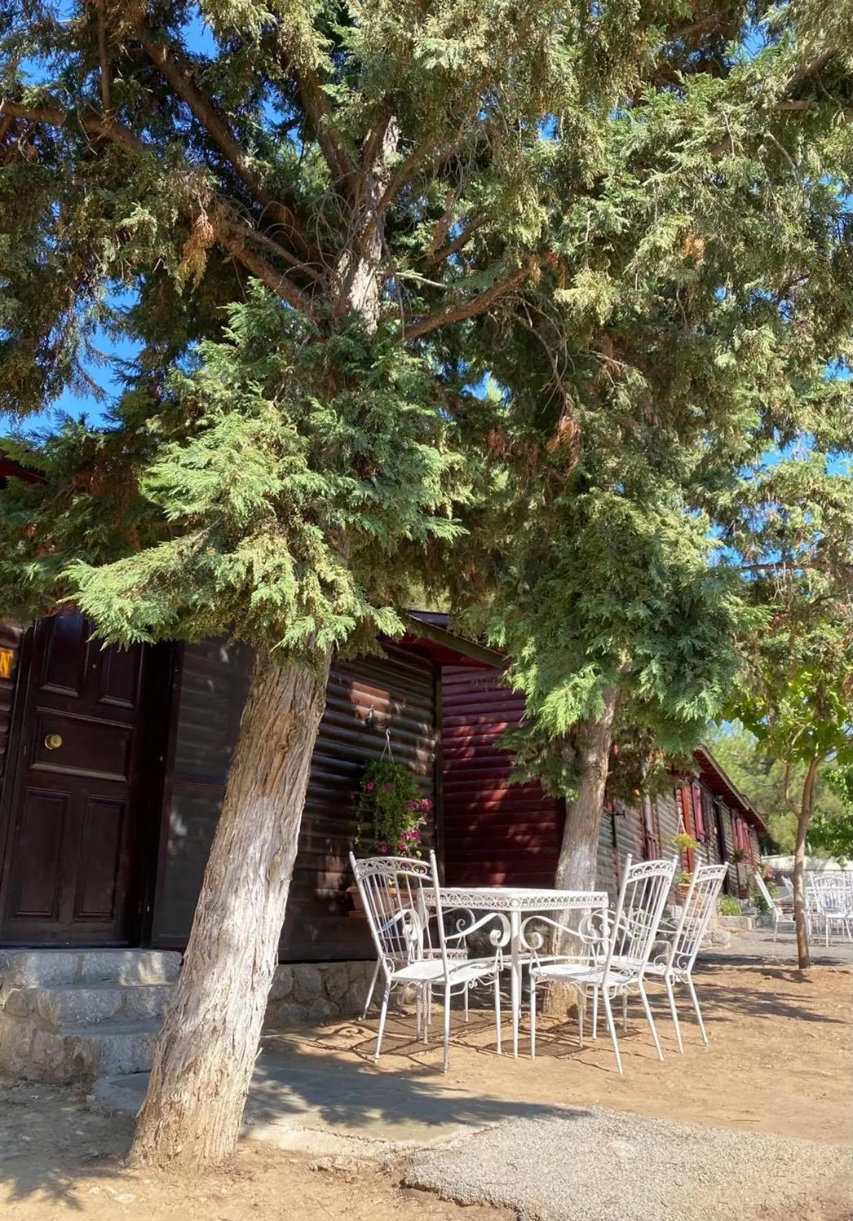 Bungalow (3 People) in Bungalow - Camping Apollon