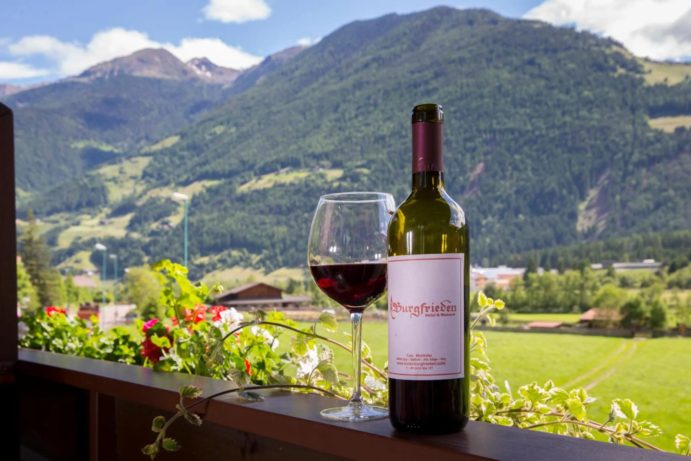 Mountain view in Hotel Burgfrieden