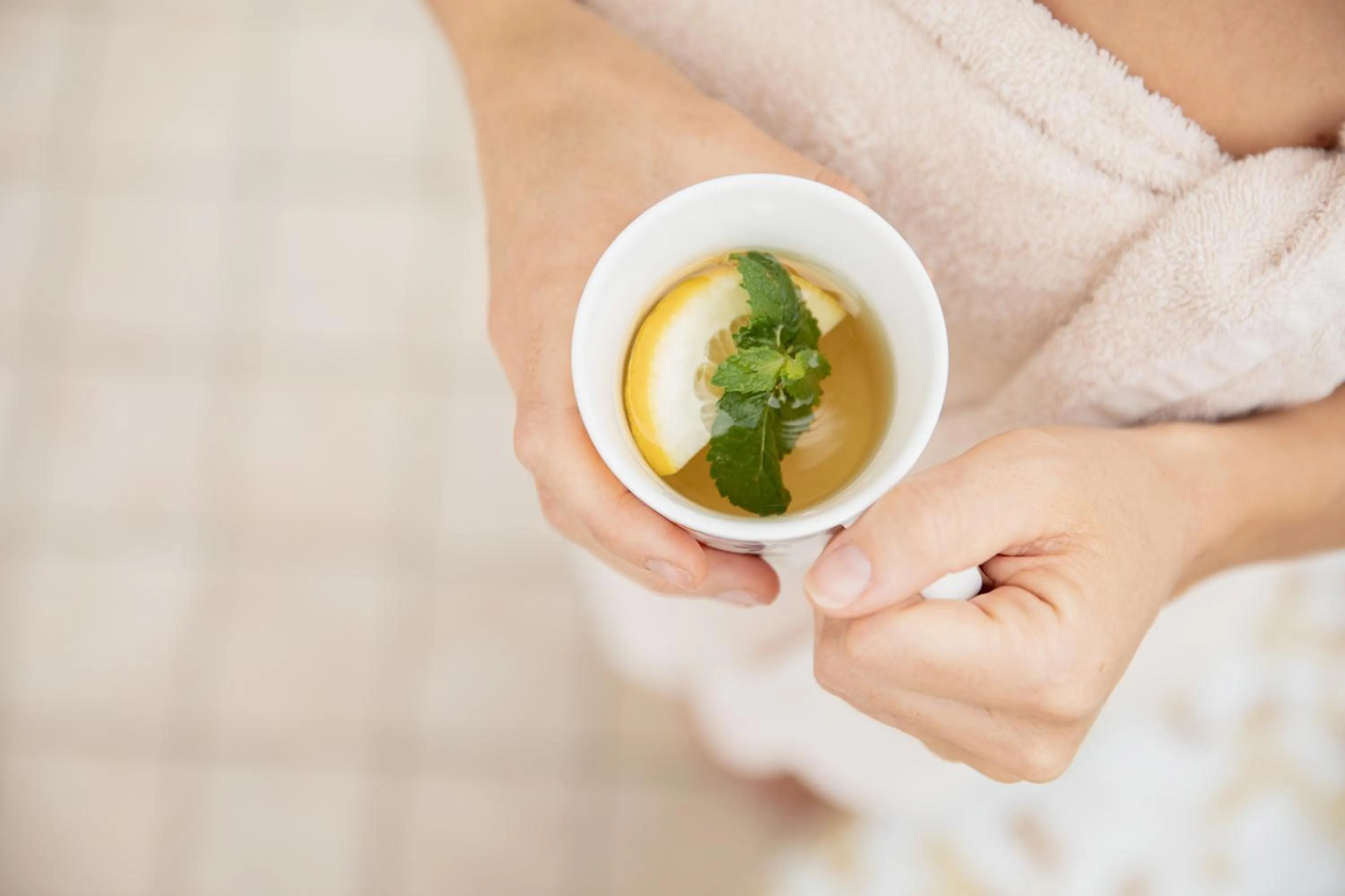 Spa and wellness centre/facilities in Hotel Garden