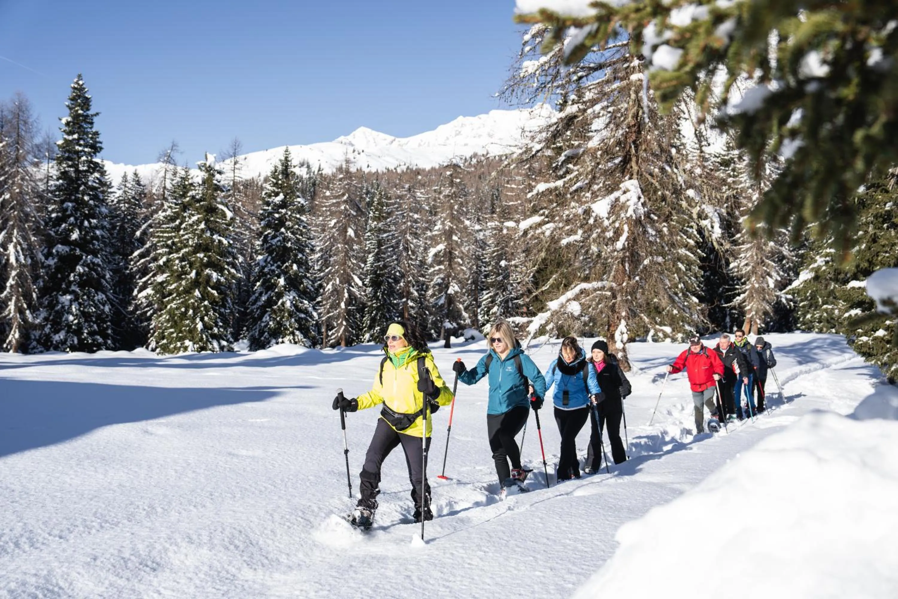 Winter in Hotel Garden