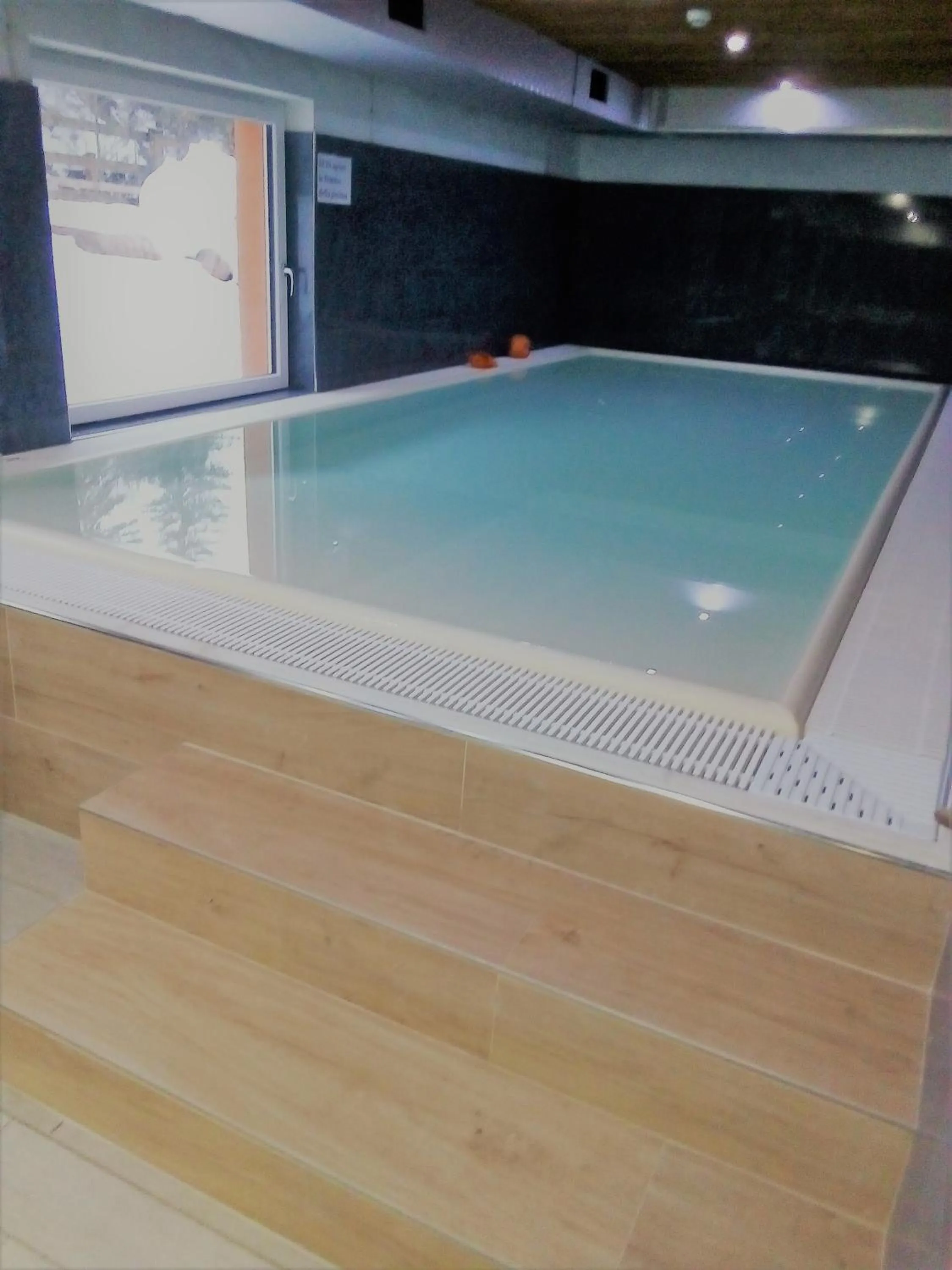 Swimming pool in Park Hotel Avisio