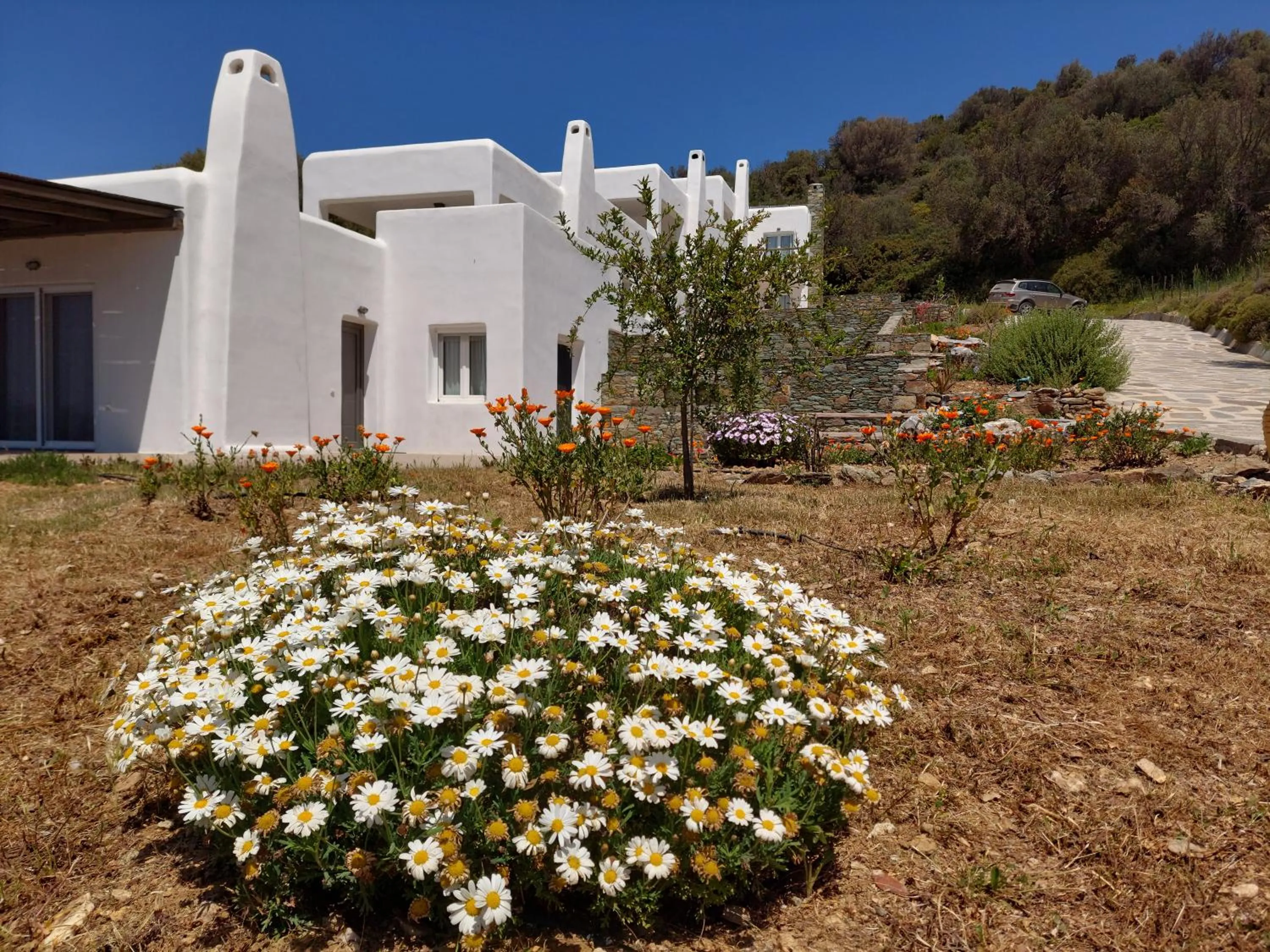 SkiNAmmos Eco Villas