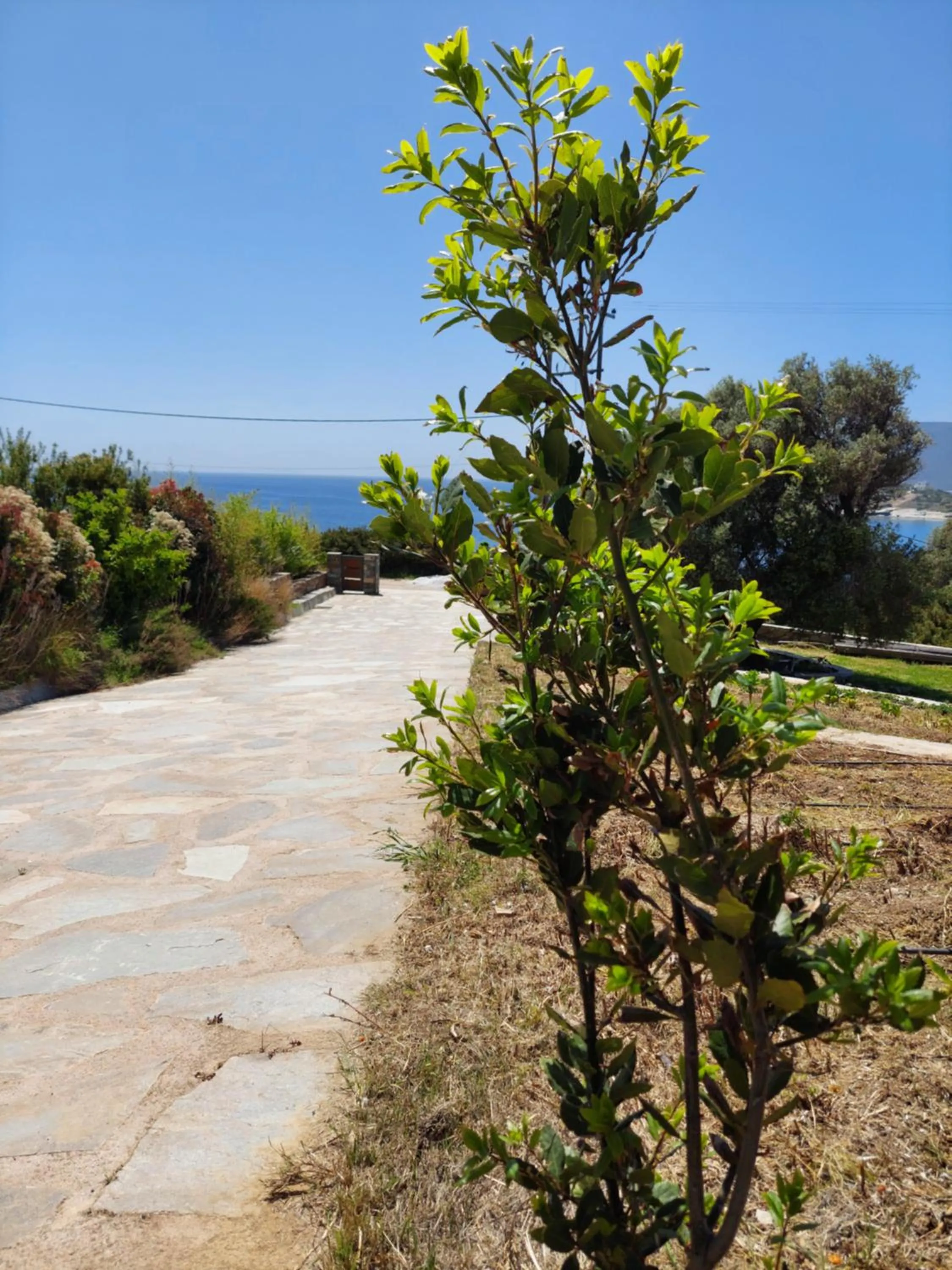 SkiNAmmos Eco Villas
