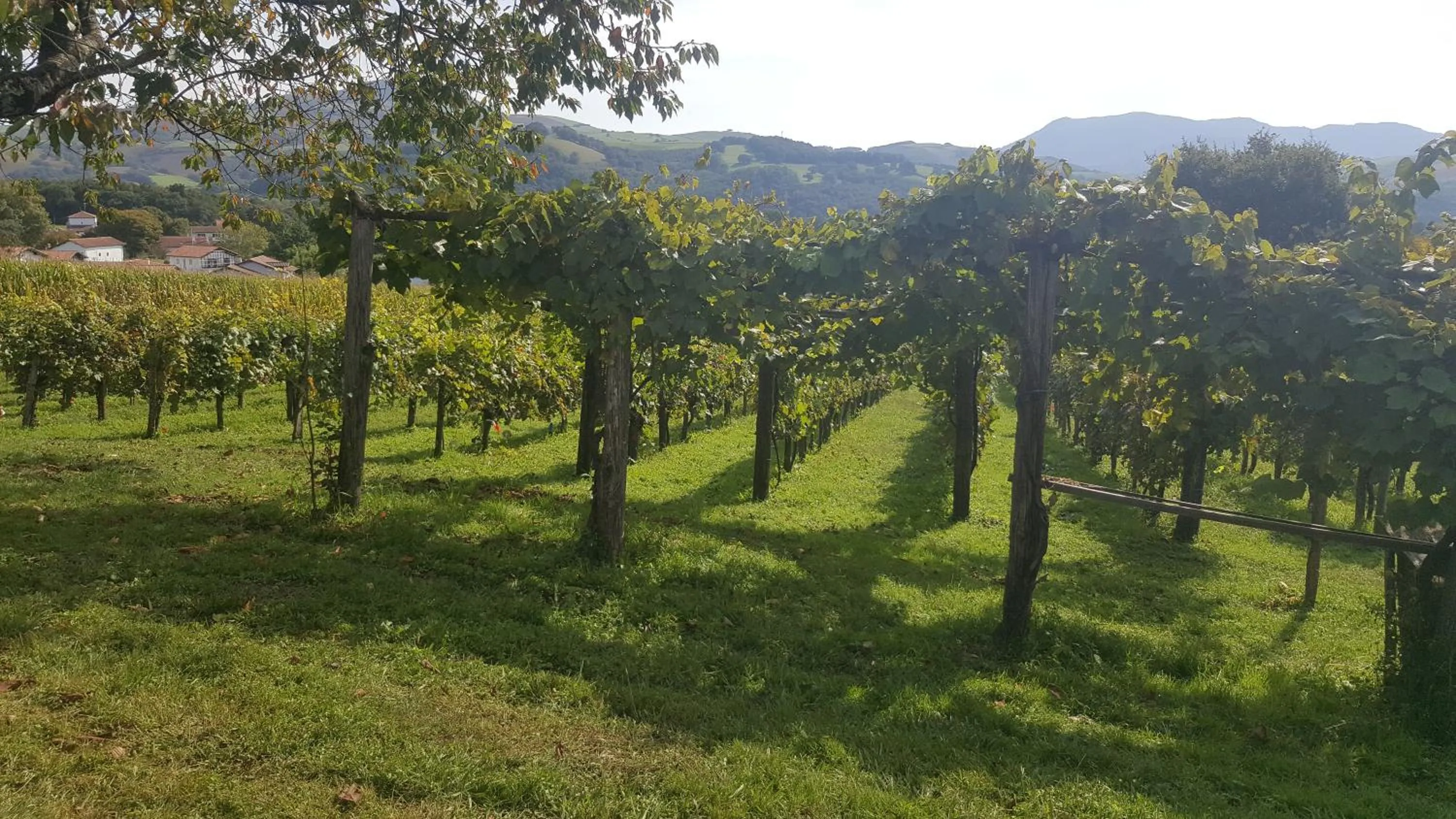 Activities in Hôtel Ursula