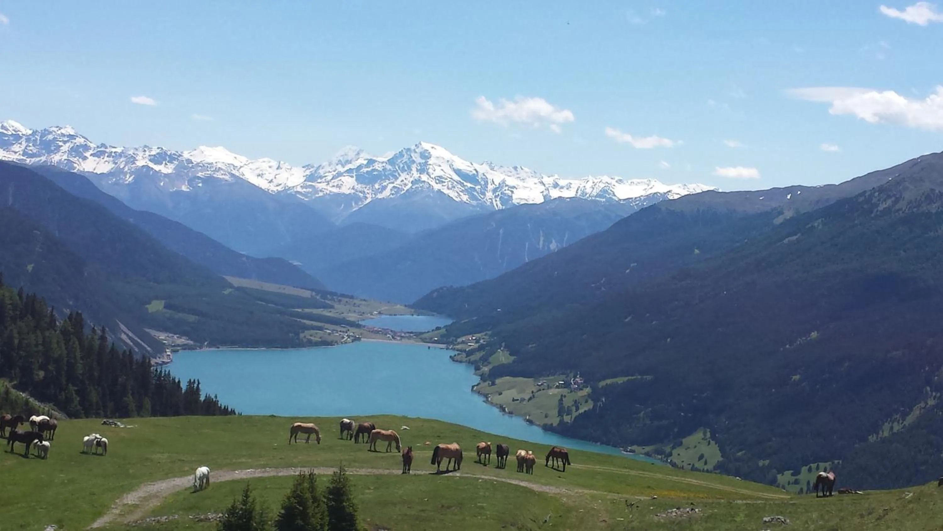 Activities in Reschnerhof