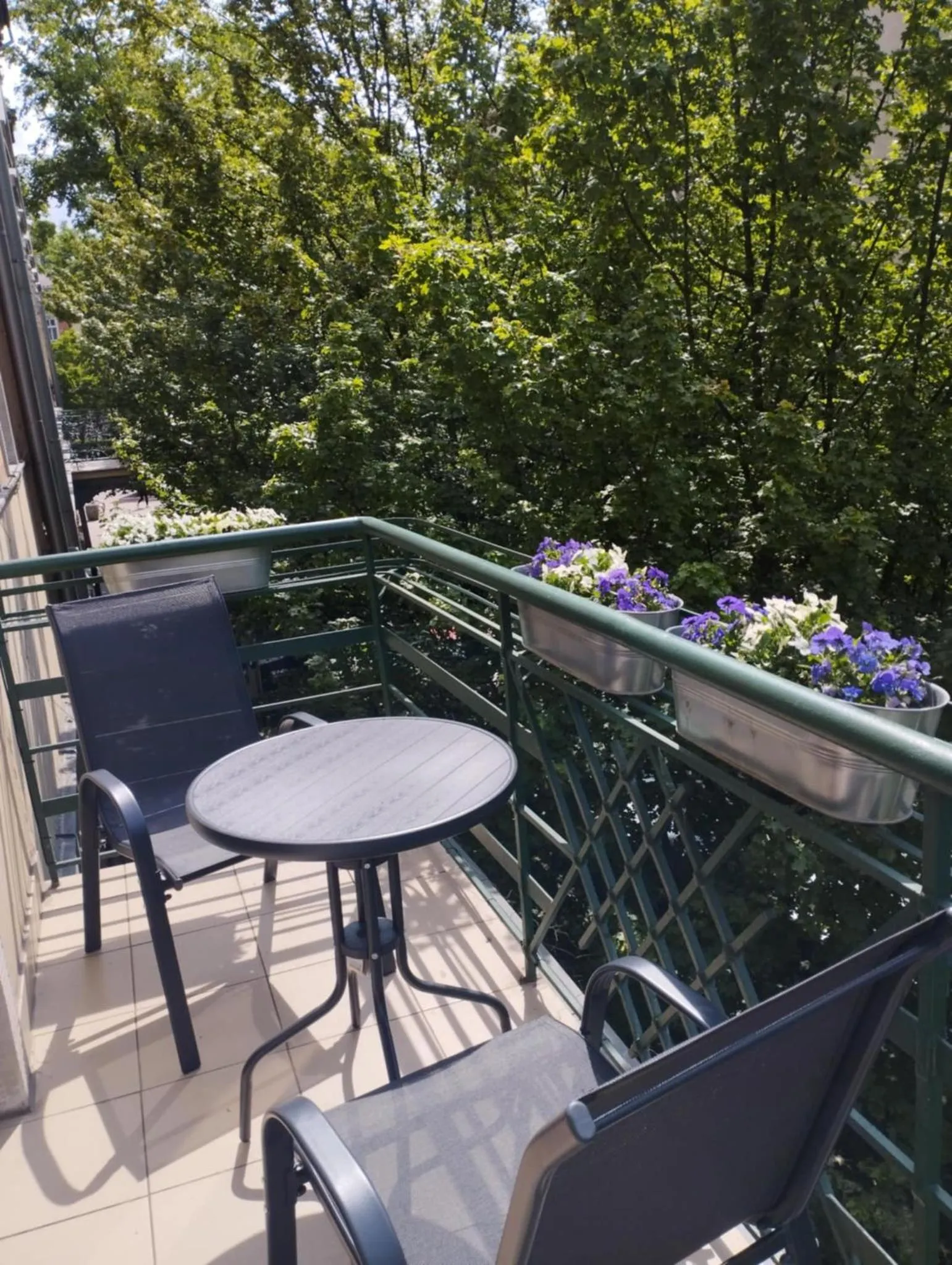 View (from property/room) in Angel House Aparthotel