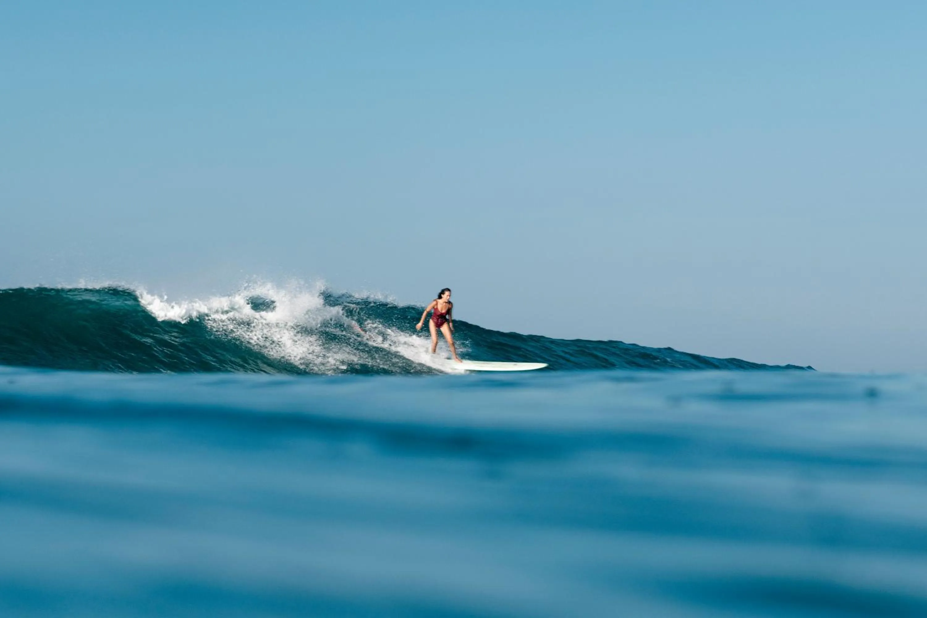 Activities in The Swiss Lankan