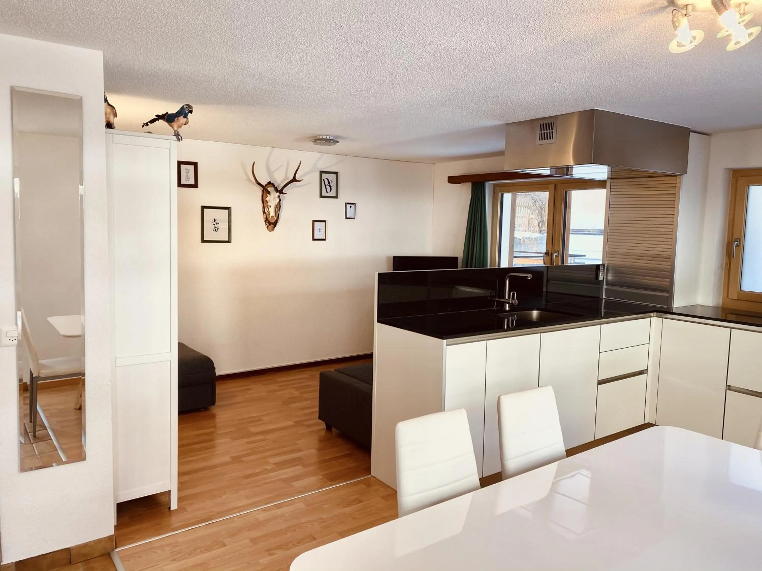 Kitchen or kitchenette in Hotel Capricorn