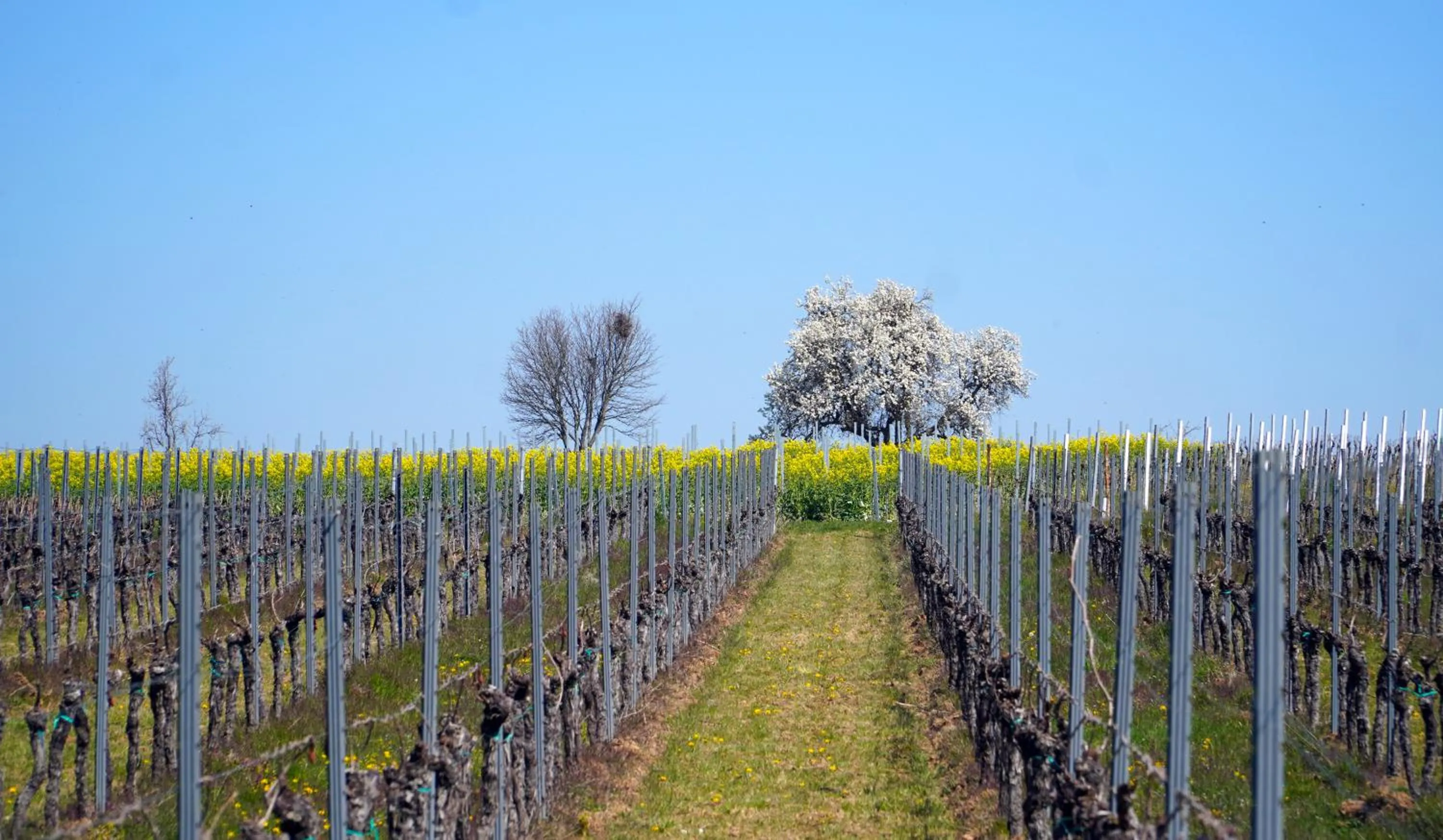 Nearby landmark in Rincón de piedra BCN