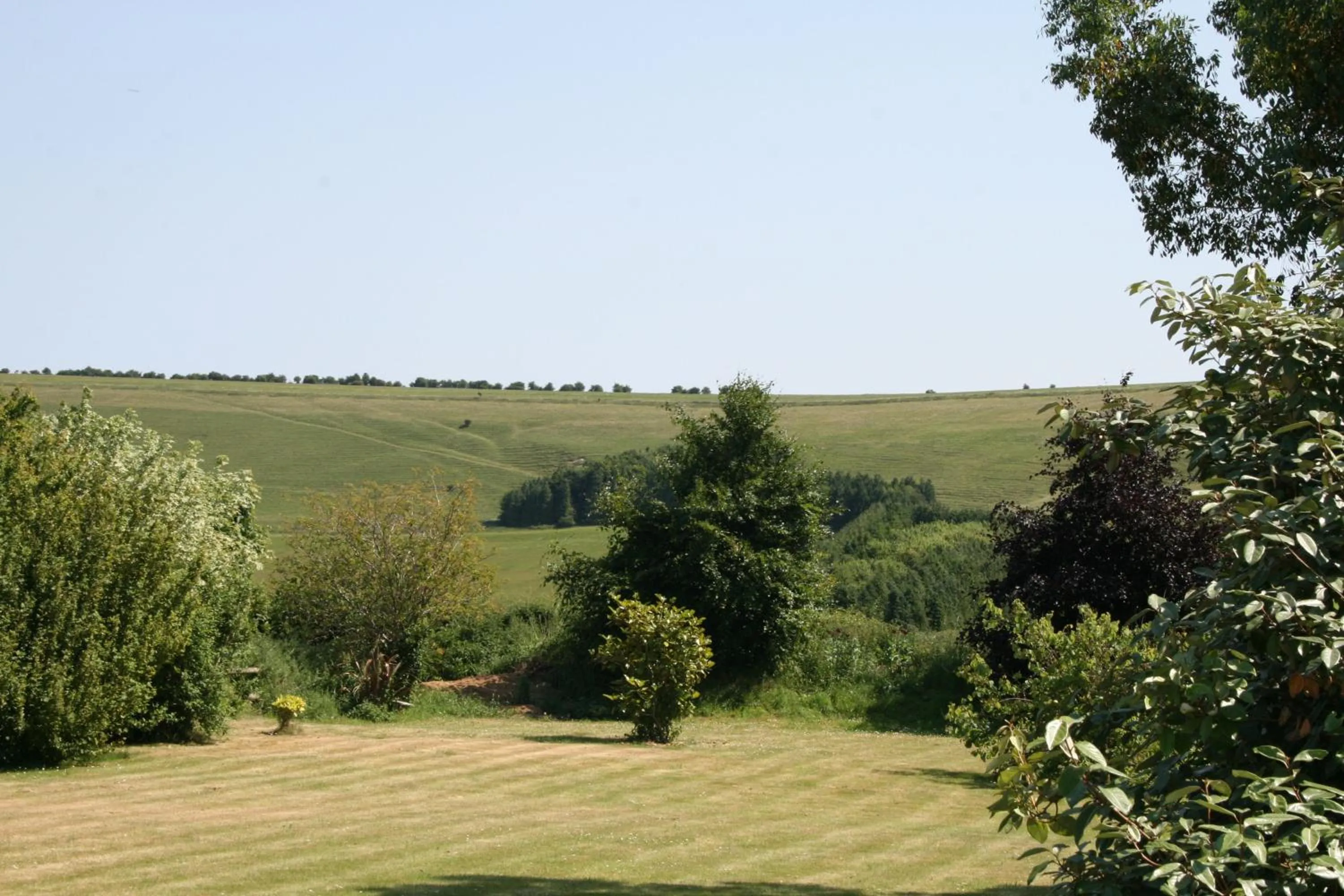 Garden view in Spacious Swallow Cottage