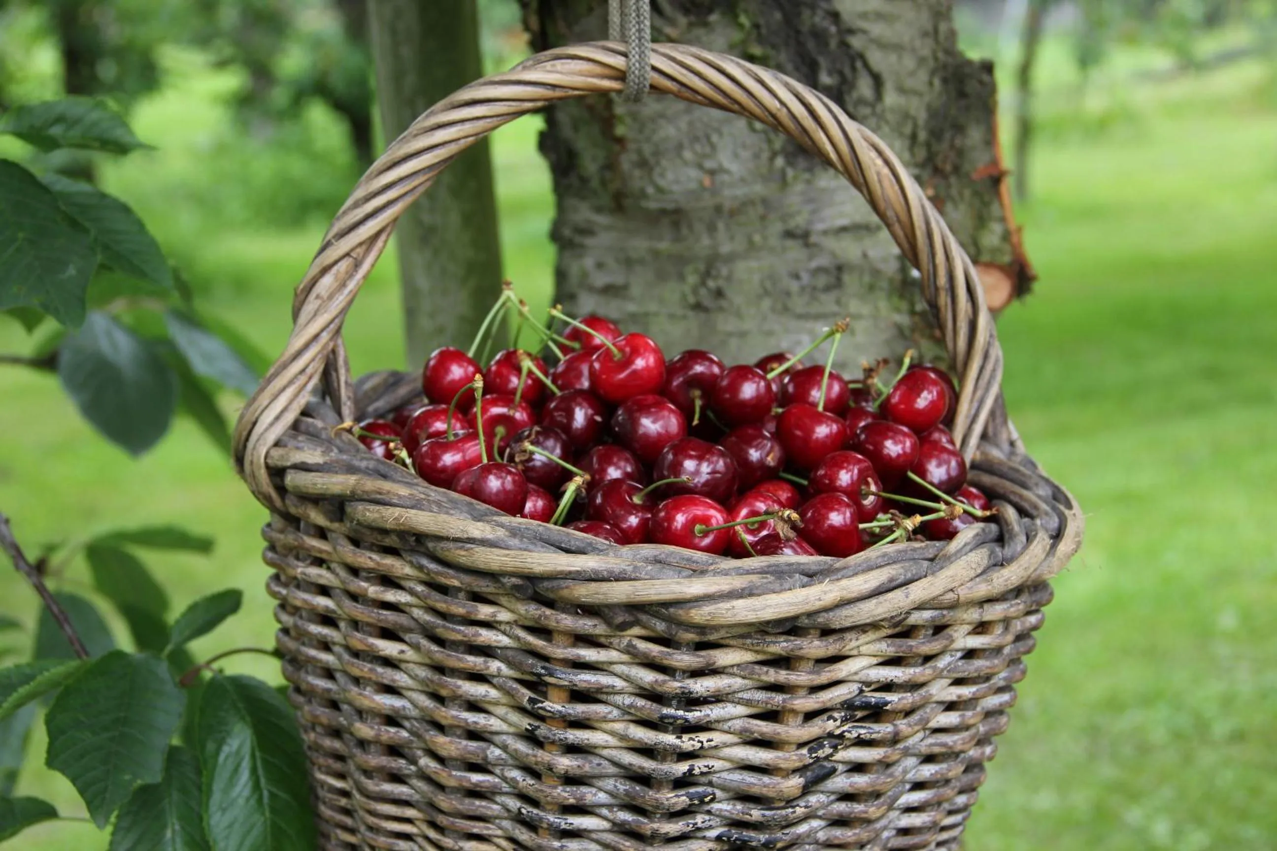Nearby landmark in Hotel Navigare