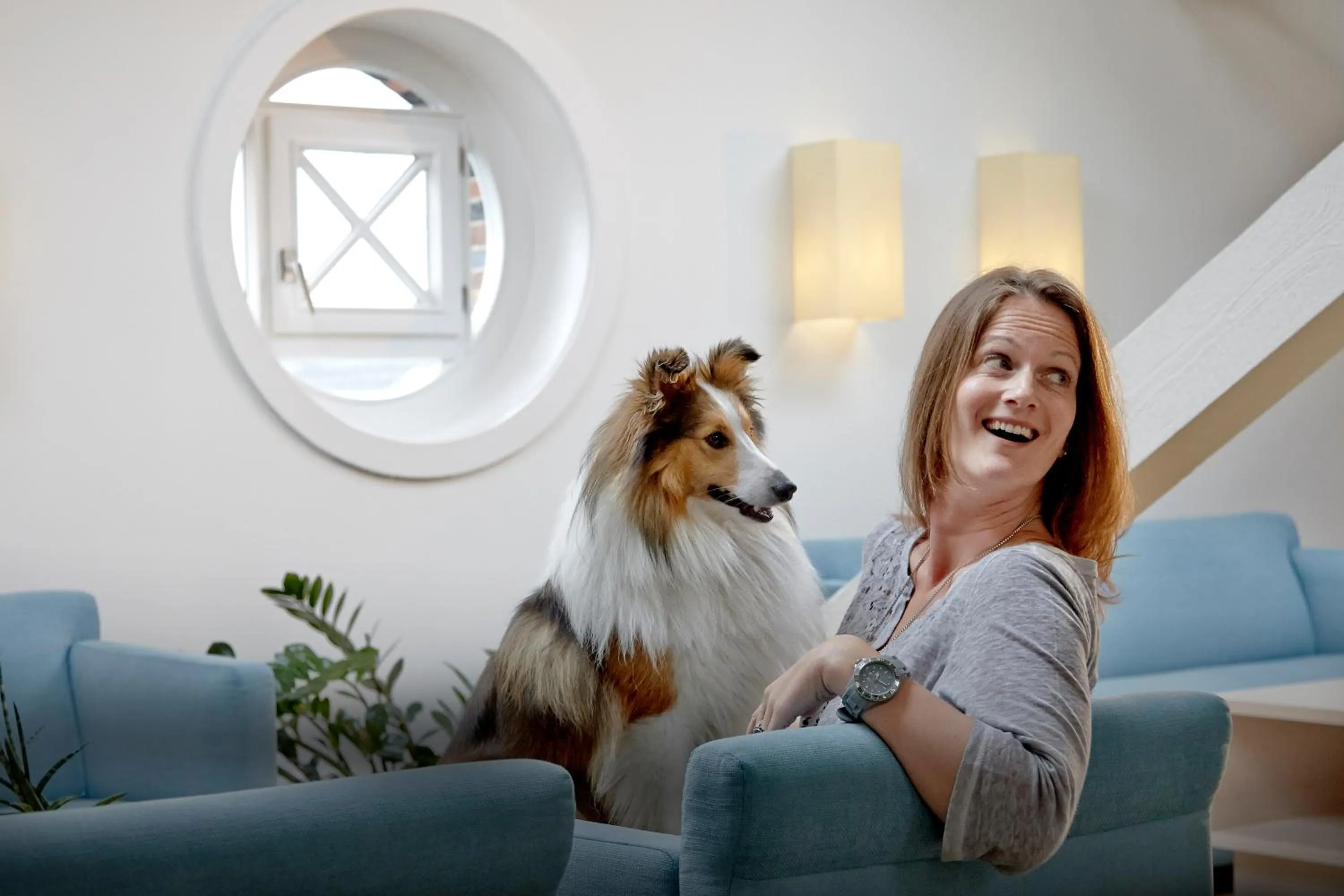 Pets in Hotel Navigare