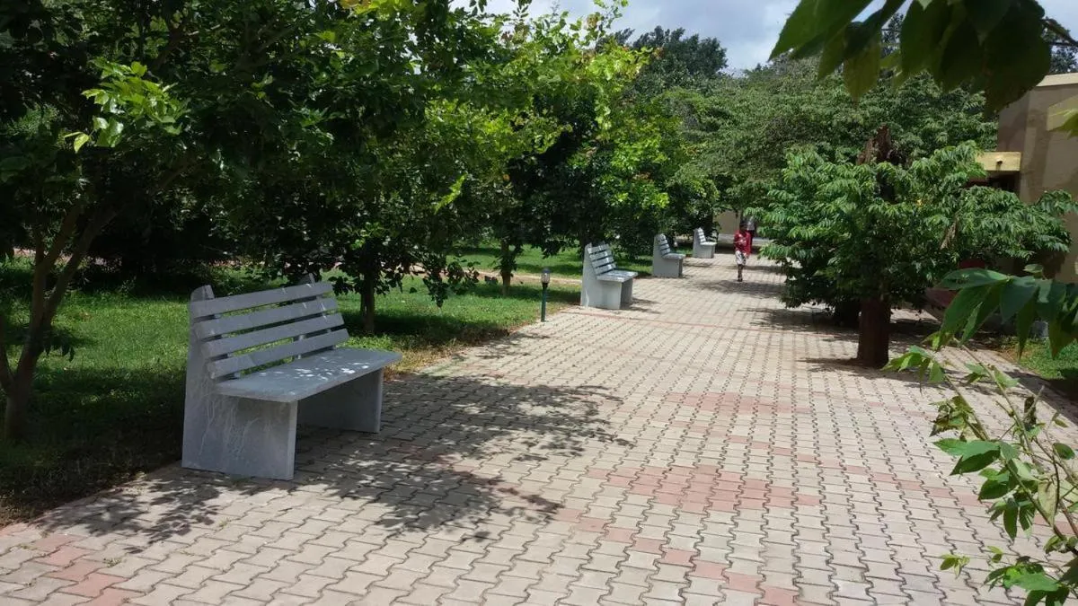 Seating area in MC Resort Wildlife Resort Bandipur