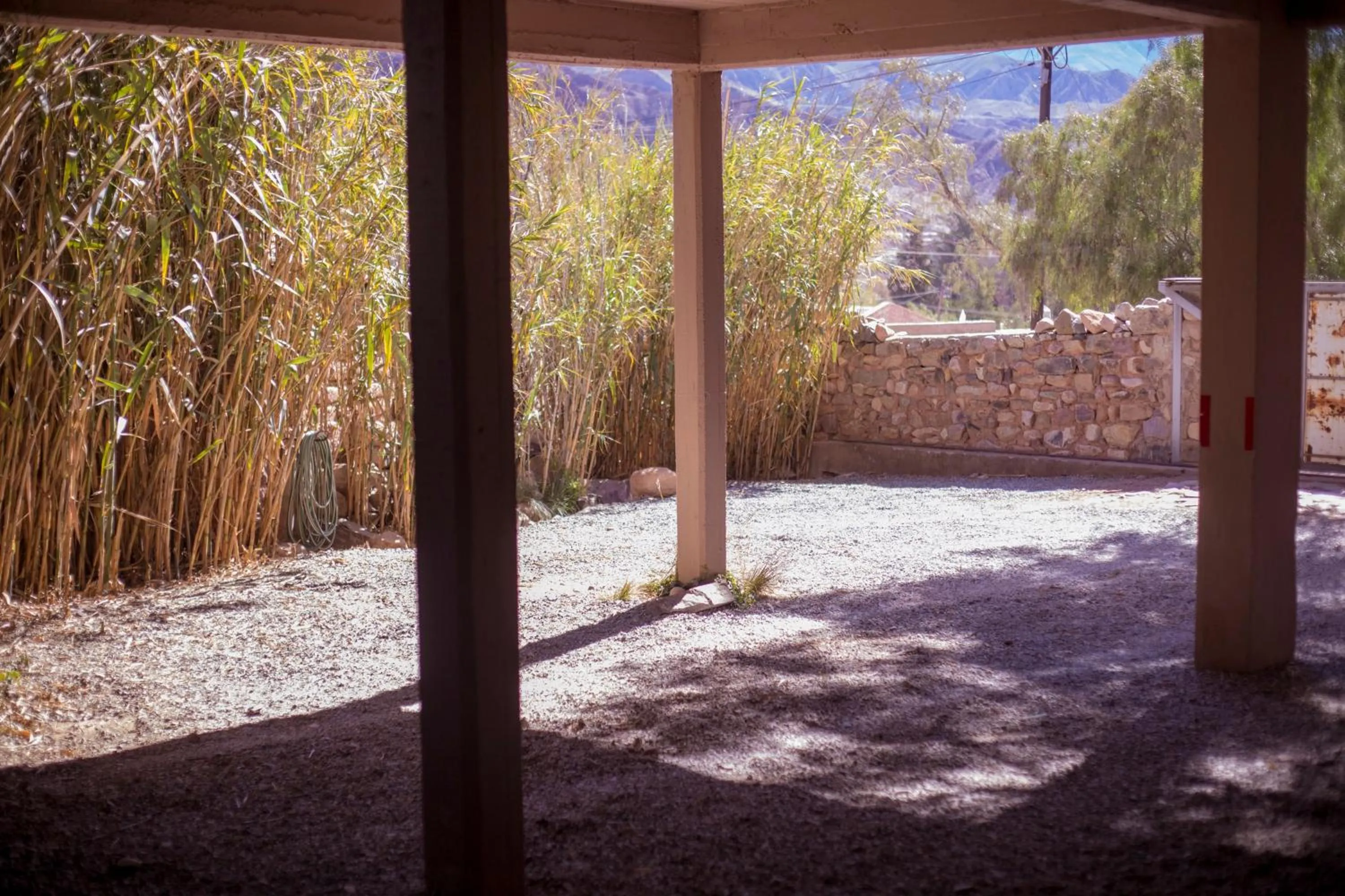 Area and facilities in Patio Alto