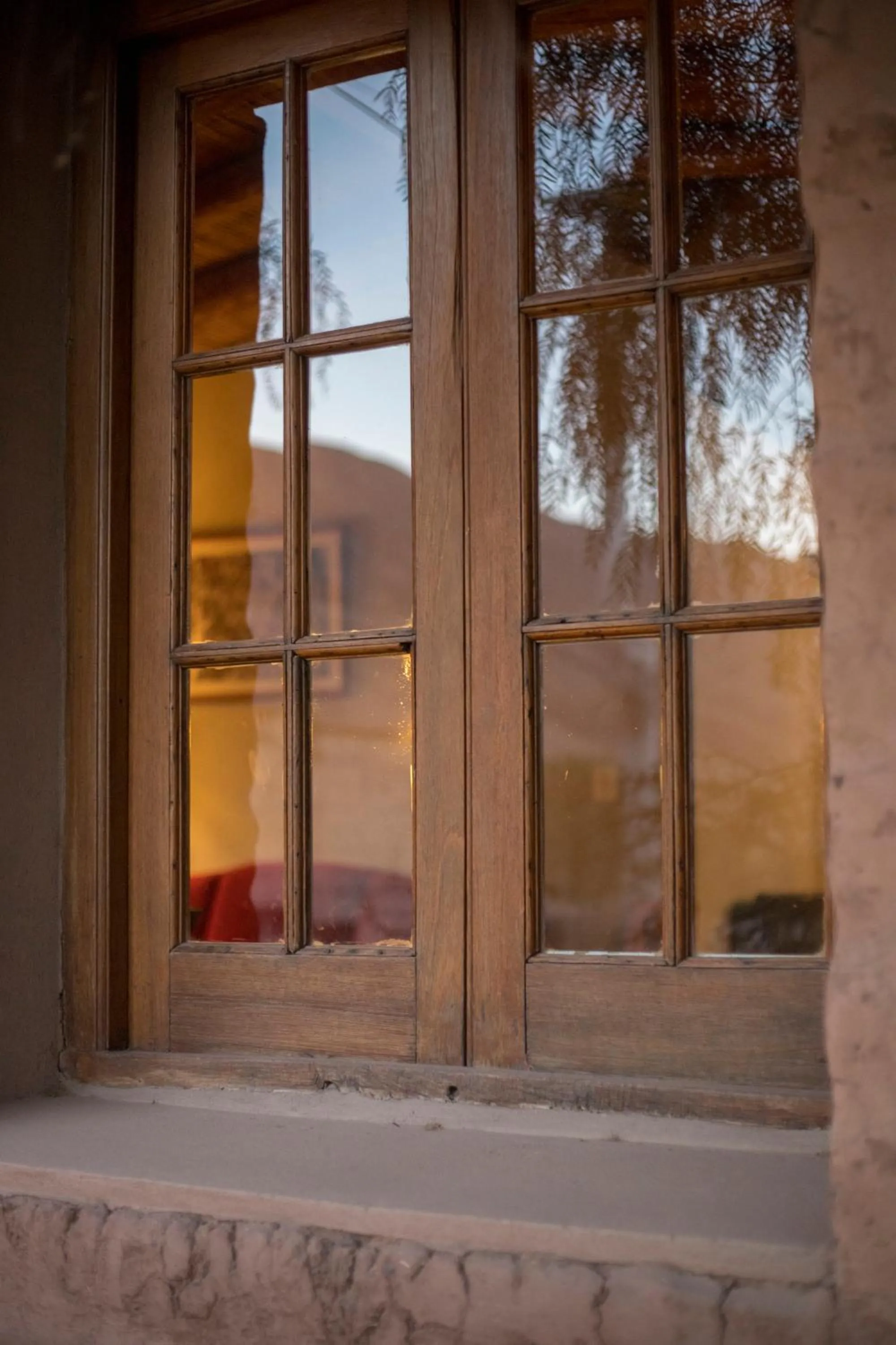 Area and facilities in Patio Alto