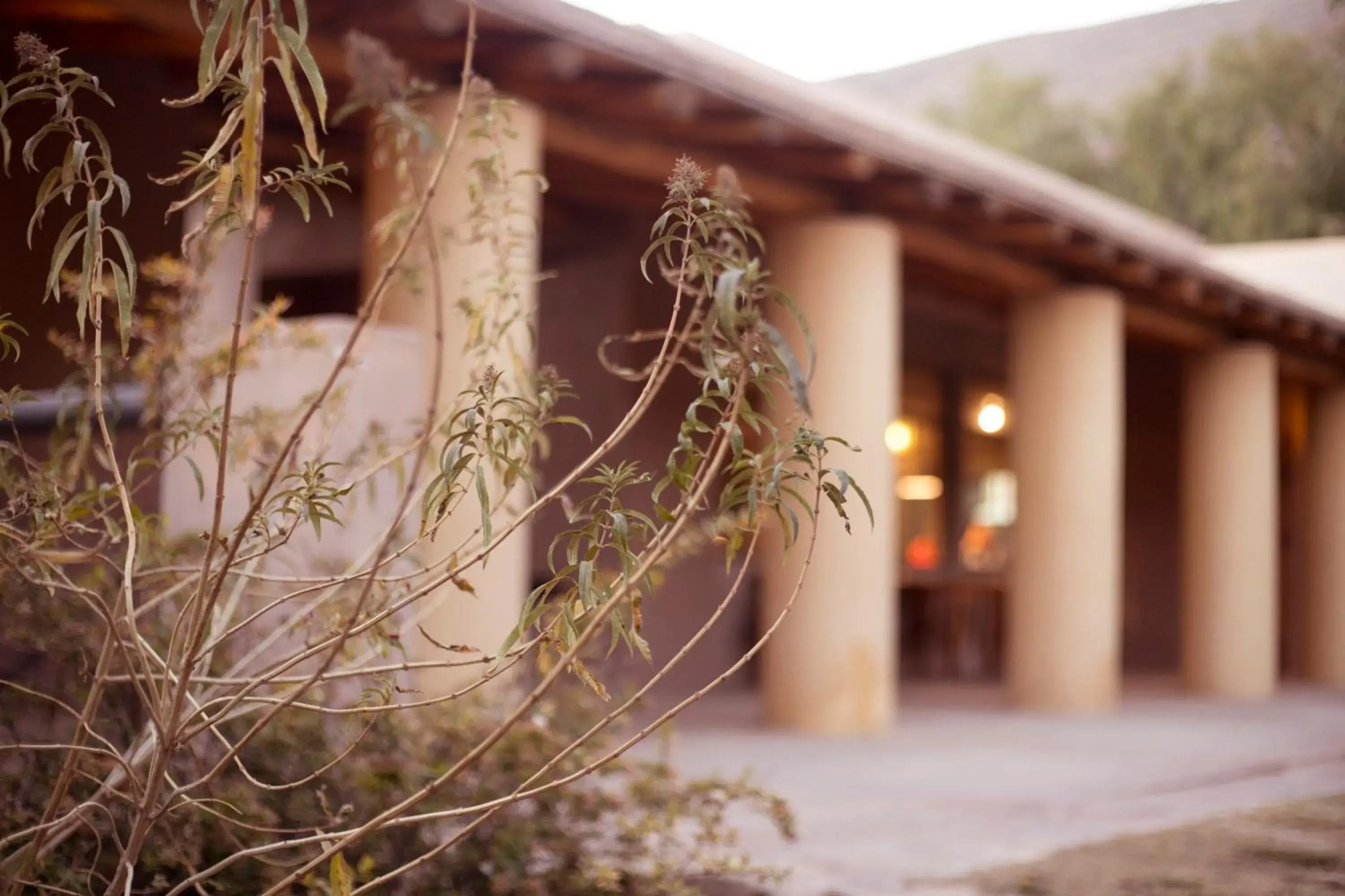 Property building in Patio Alto Property building in Patio Alto