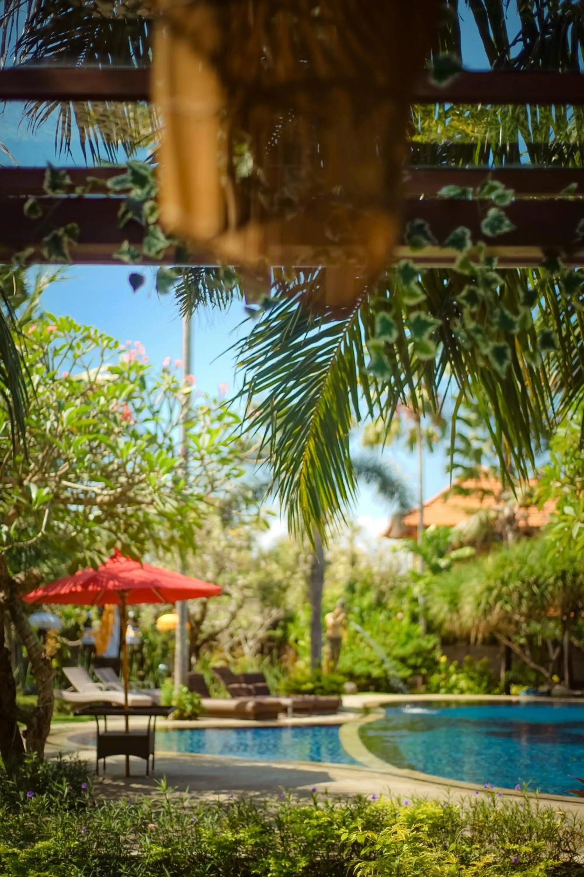 Pool view in Bali Aroma Exclusive Villas