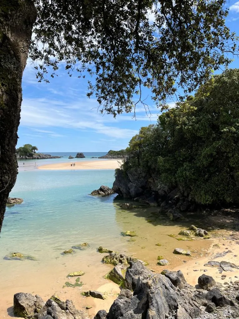 Garden in Hotel Olimpo