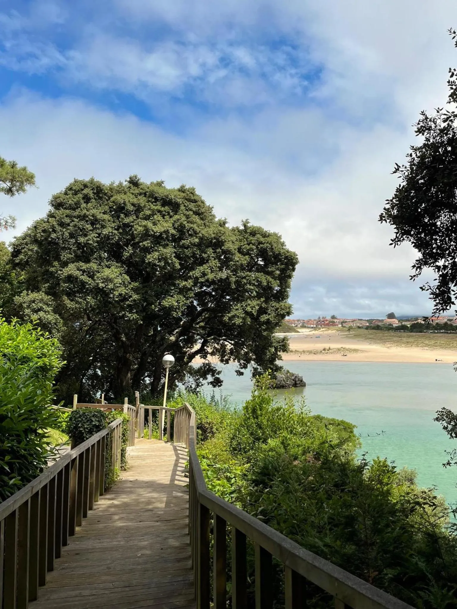 Garden in Hotel Olimpo