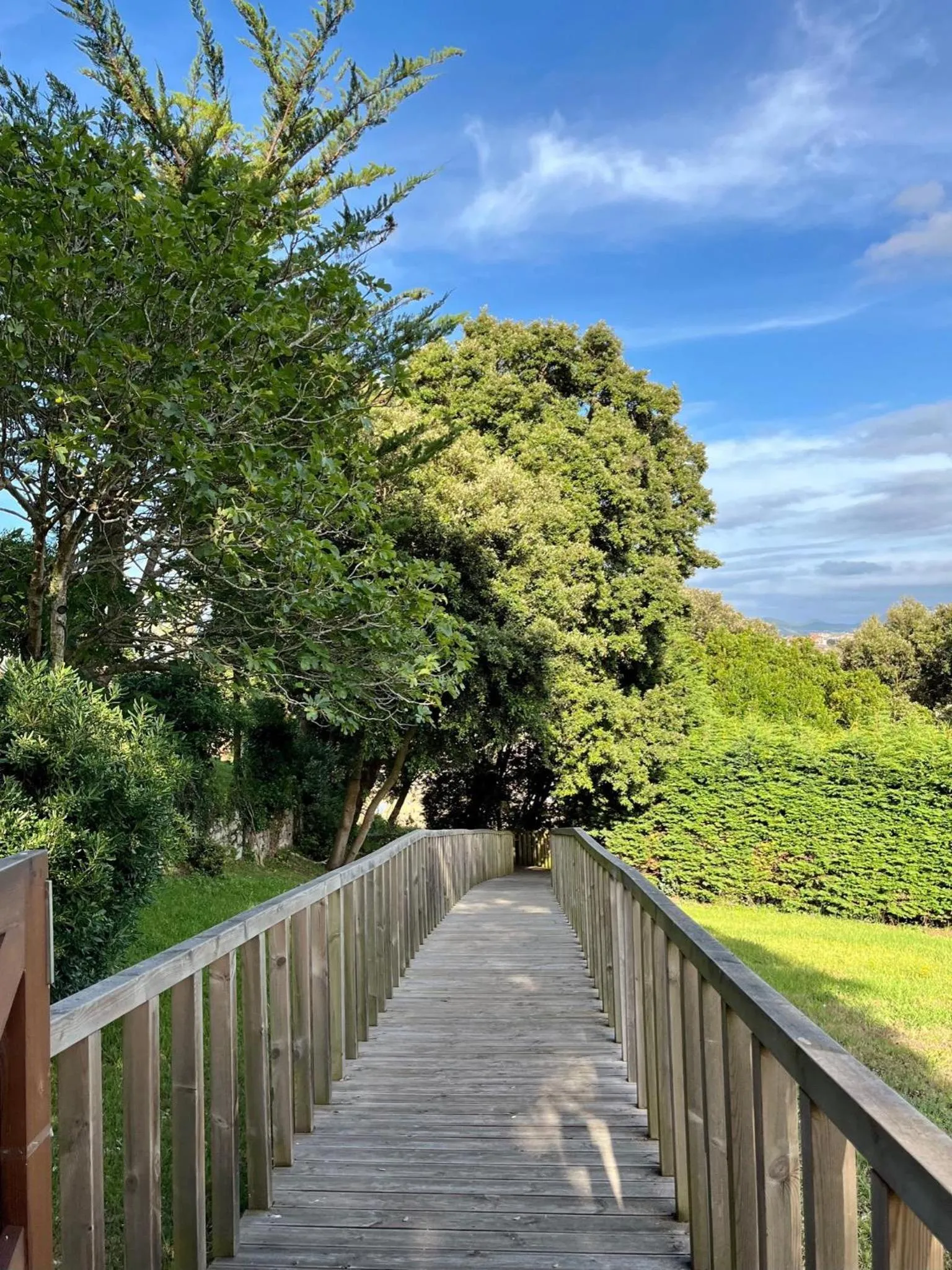 Garden in Hotel Olimpo