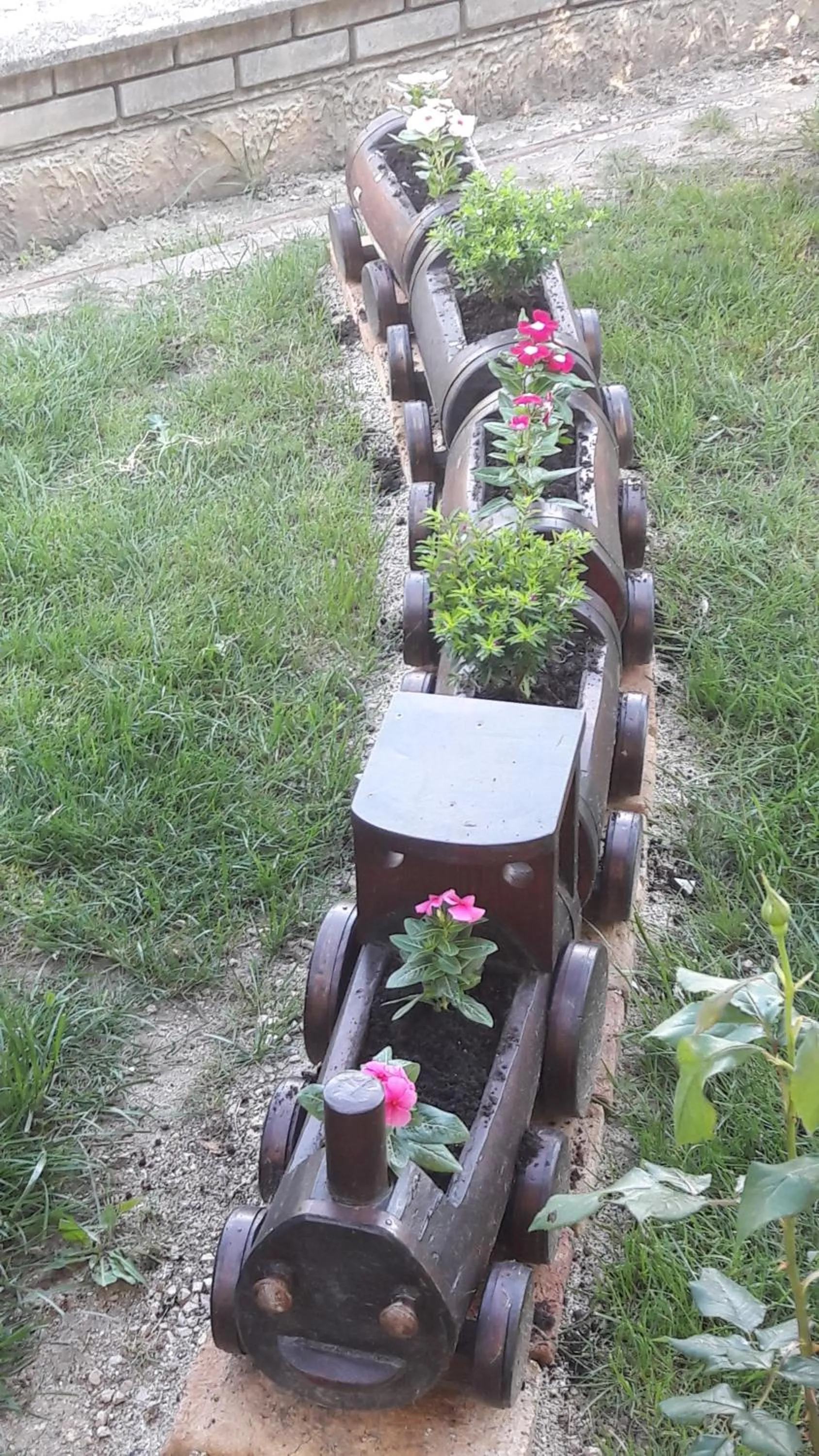 Garden in Szalóky Apartmanház