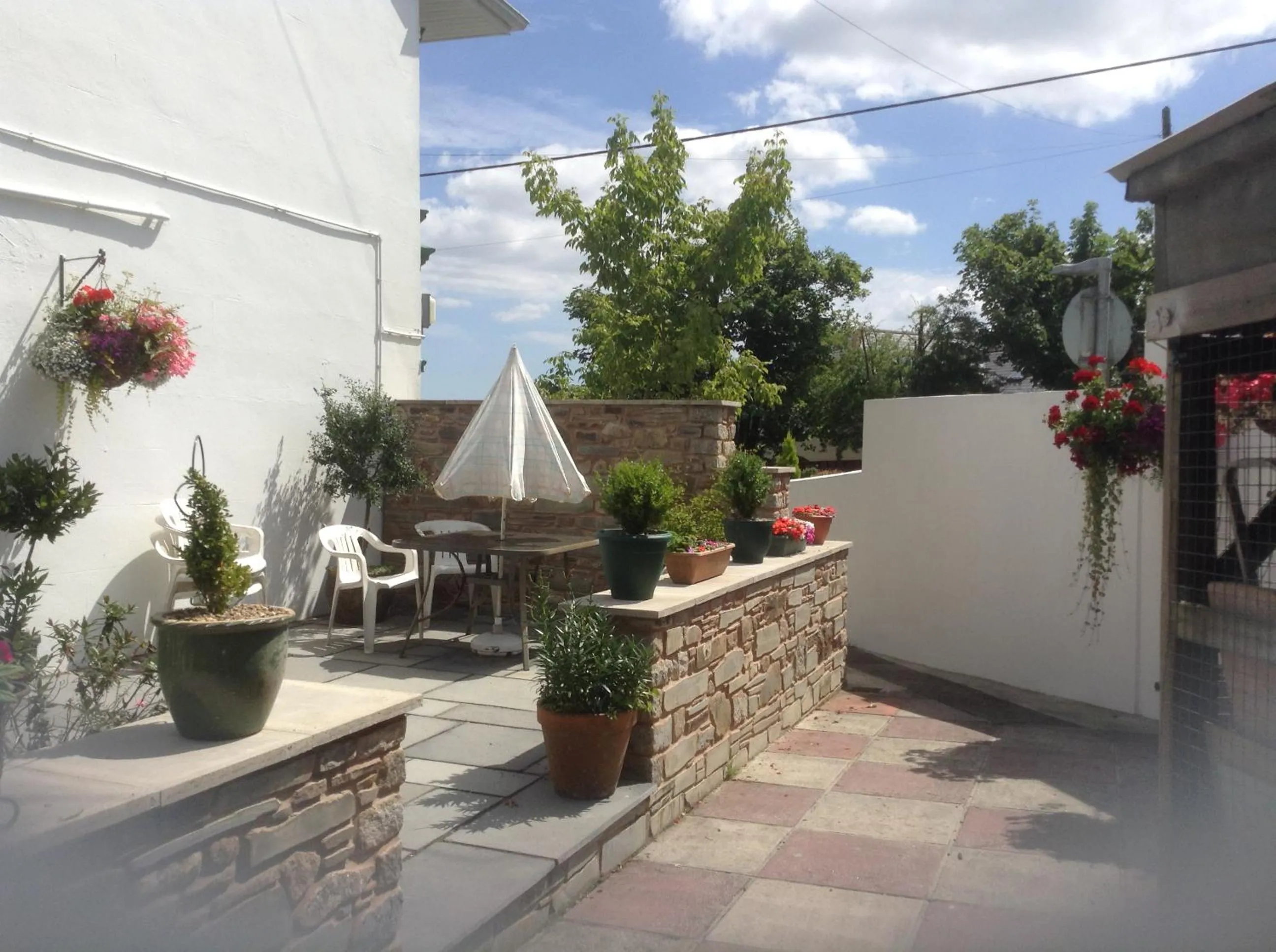 Garden view in Drakewalls Bed And Breakfast