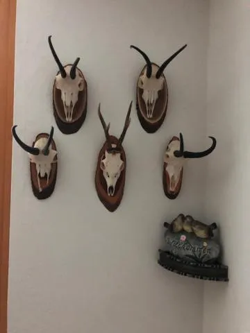 Pension Liesertalerhof