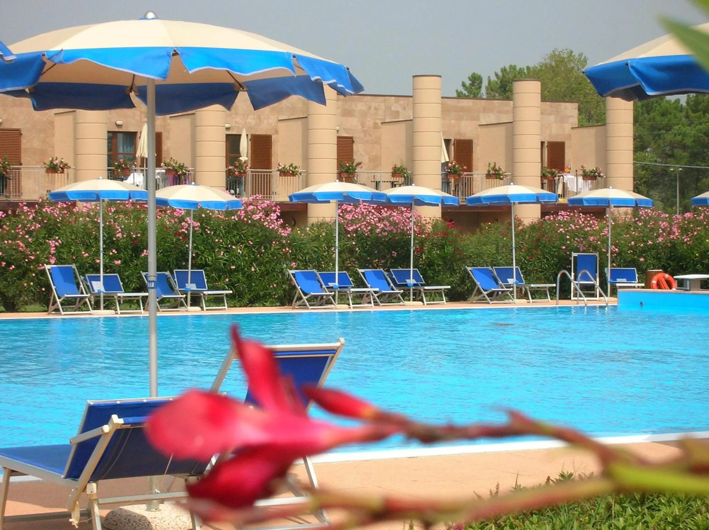 Swimming pool in Cosmopolitan Golf & Beach Resort