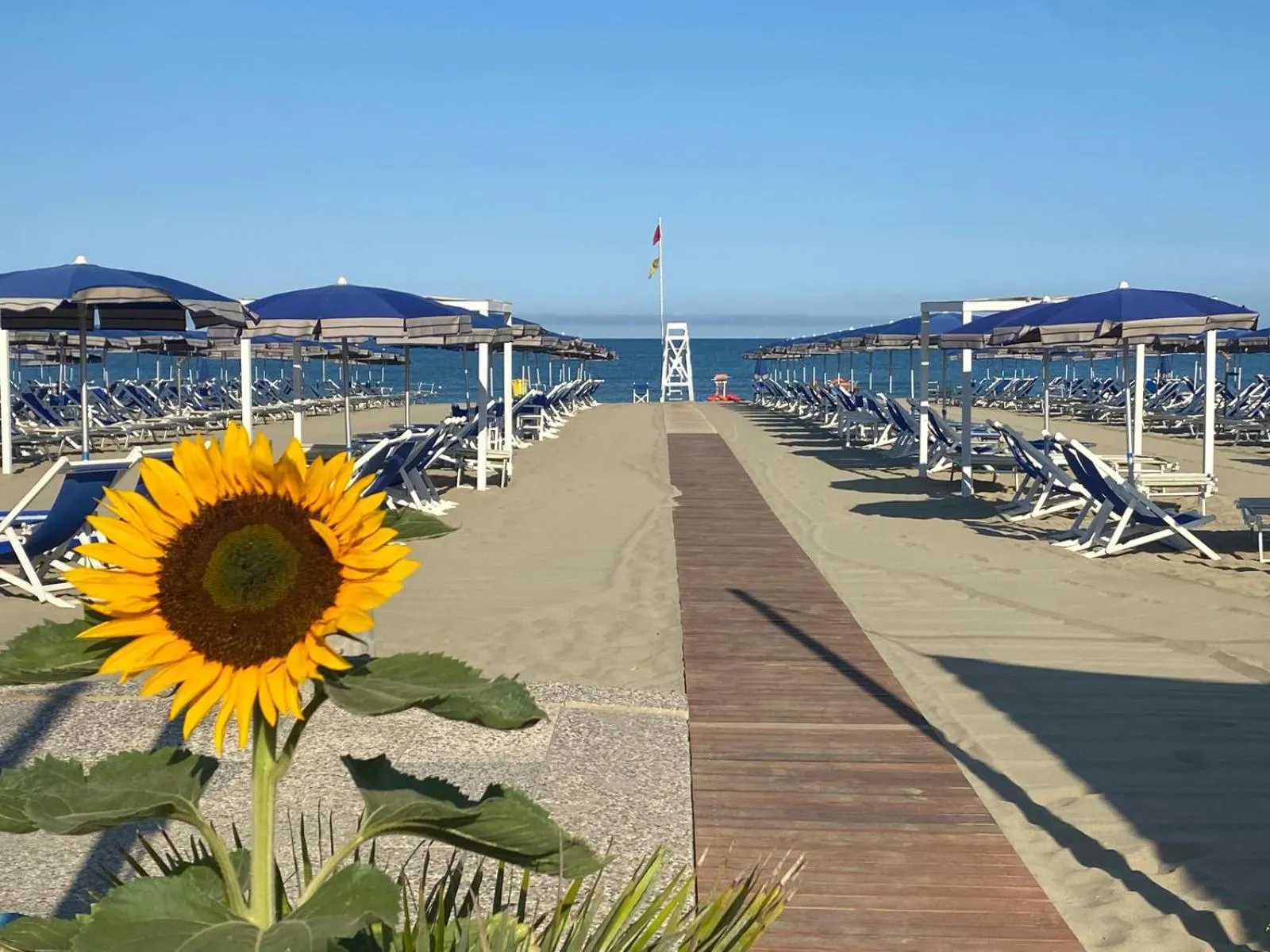 Beach in Cosmopolitan Golf & Beach Resort