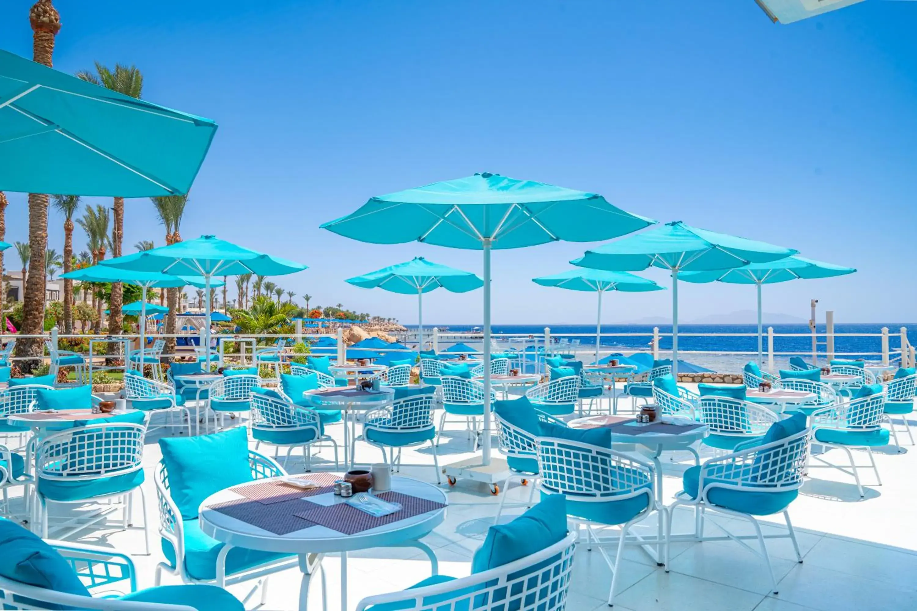 Restaurant/places to eat in Pickalbatros Royal Grand Sharm - Adults Friendly 16 Years Plus Restaurant/places to eat in Pickalbatros Royal Grand Sharm - Adults Friendly 16 Years Plus