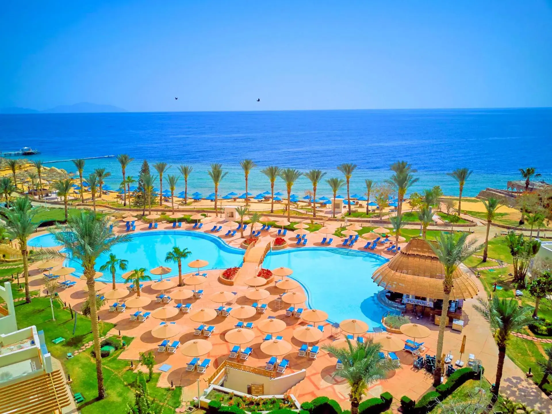 Pool View in Pickalbatros Royal Grand Sharm - Adults Friendly 16 Years Plus