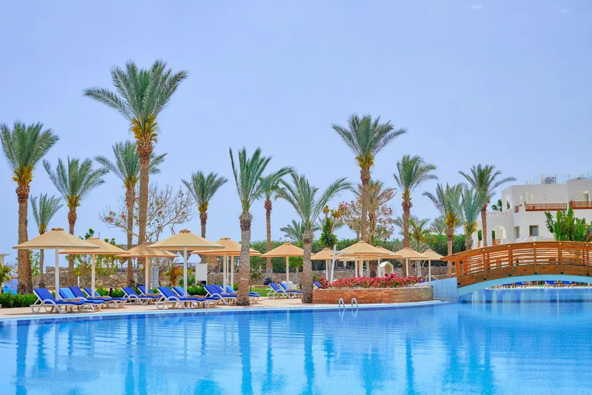 Swimming Pool in Pickalbatros Royal Grand Sharm - Adults Friendly 16 Years Plus