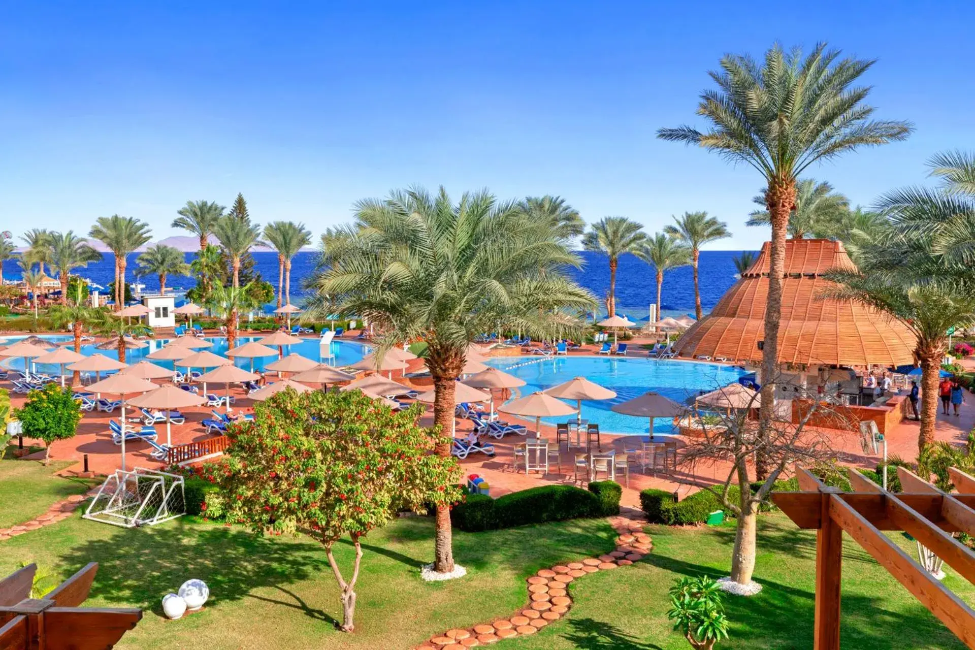 Day, Pool View in Pickalbatros Royal Grand Sharm - Adults Friendly 16 Years Plus