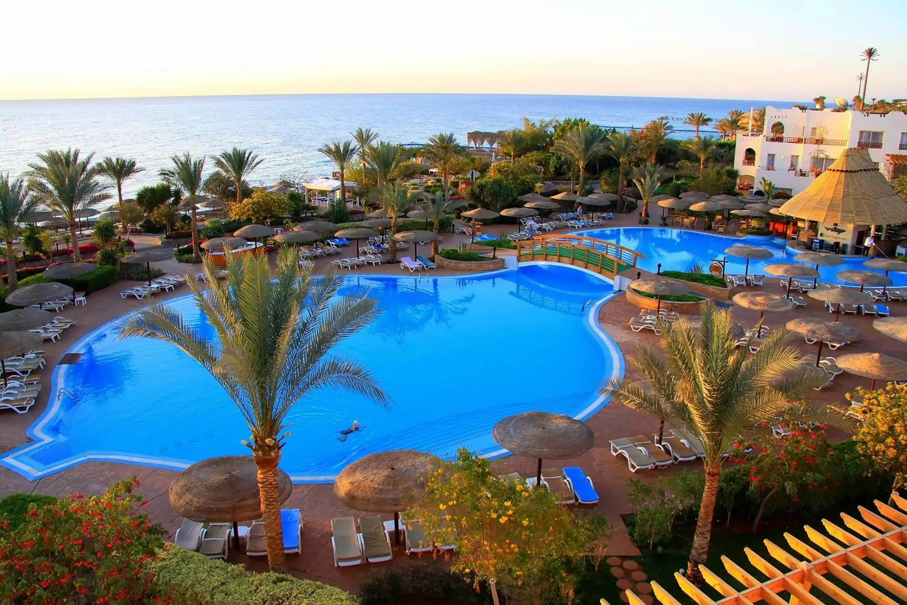 Day, Pool View in Pickalbatros Royal Grand Sharm - Adults Friendly 16 Years Plus