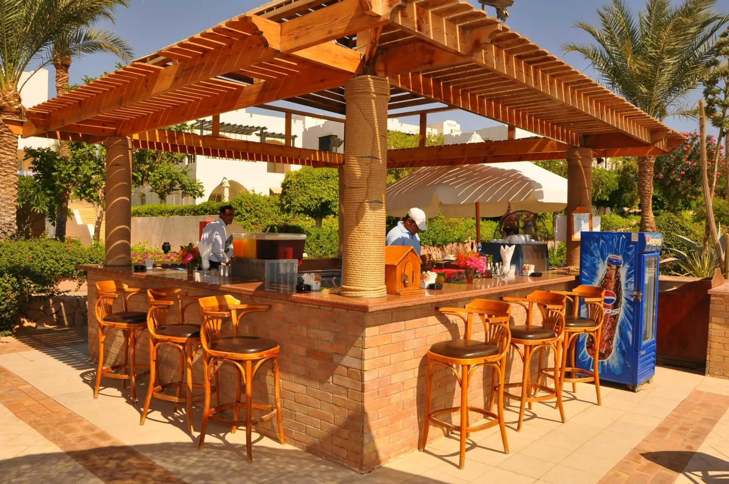 Lounge or bar in Pickalbatros Royal Grand Sharm - Adults Friendly 16 Years Plus