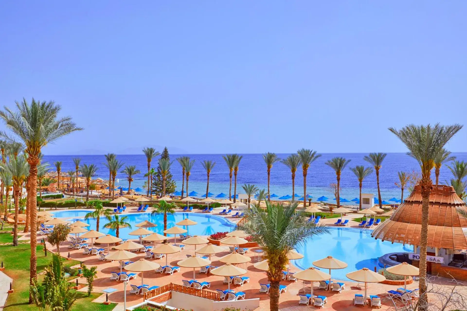 Day, Pool View in Pickalbatros Royal Grand Sharm - Adults Friendly 16 Years Plus