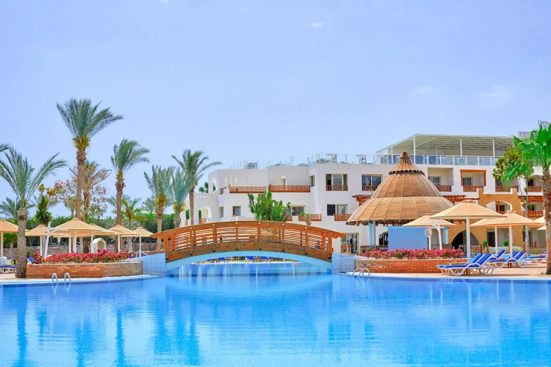 Swimming Pool in Pickalbatros Royal Grand Sharm - Adults Friendly 16 Years Plus