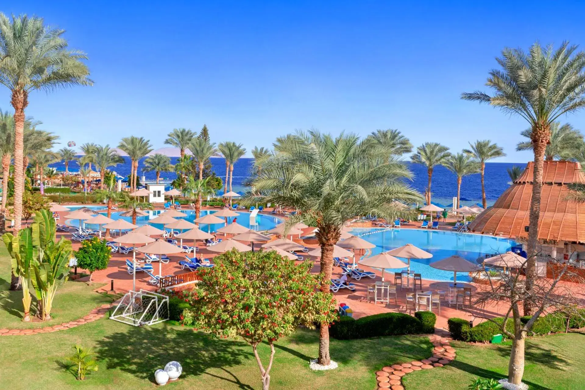 Day, Pool View in Pickalbatros Royal Grand Sharm - Adults Friendly 16 Years Plus